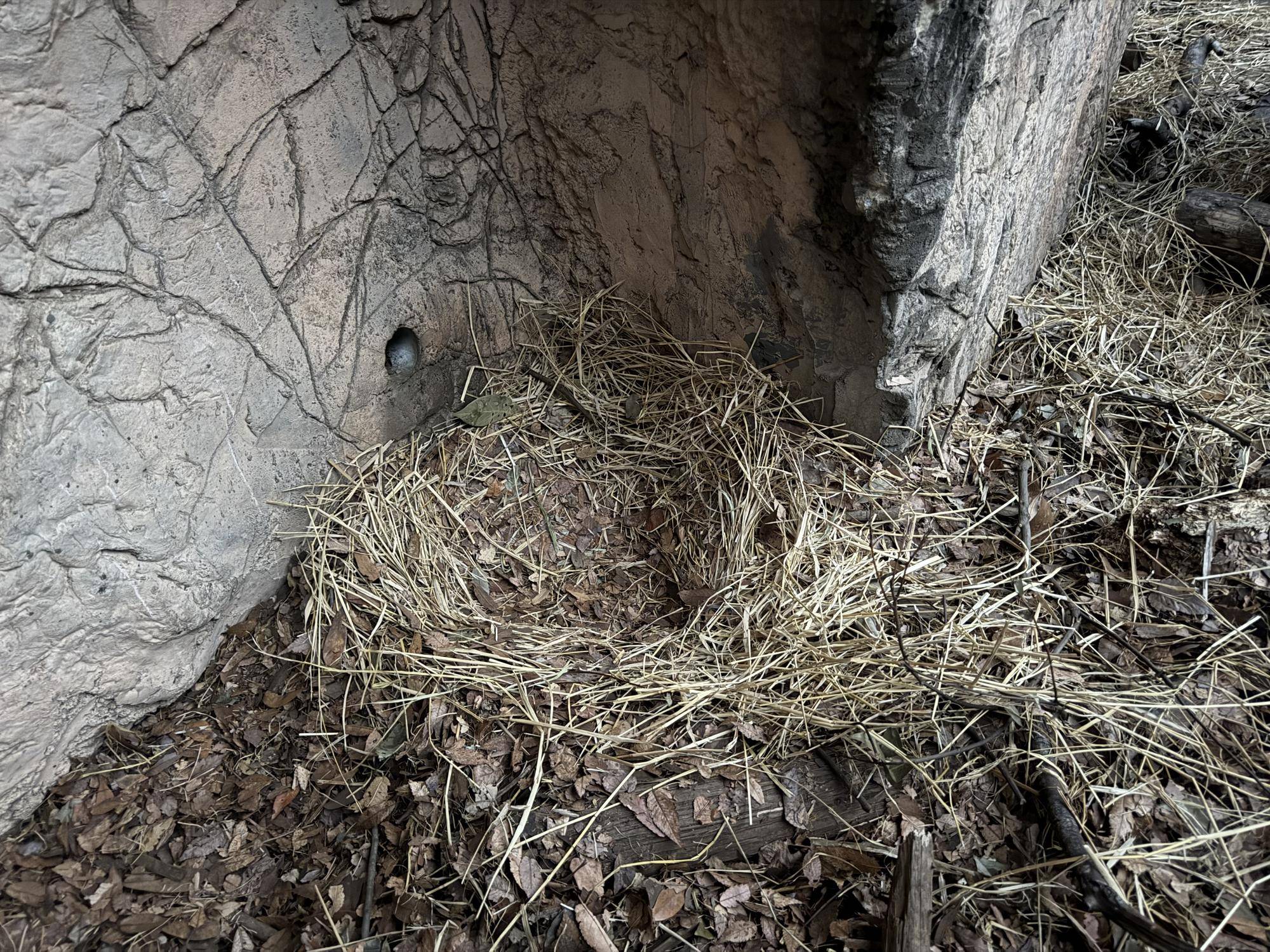 写真 2025-12-23 16 46 01.jpg