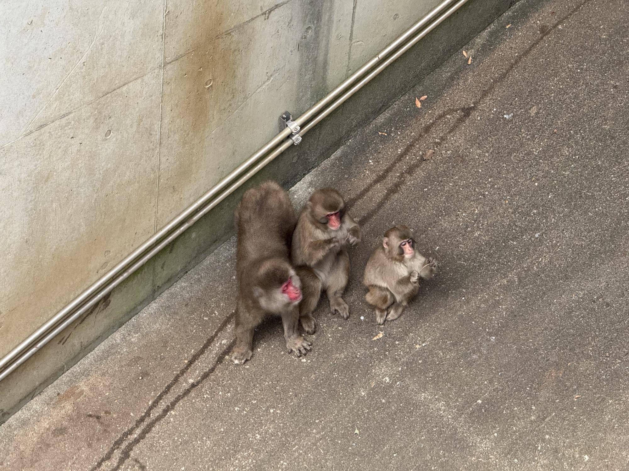 写真 2025-12-03 11 47 14.jpg