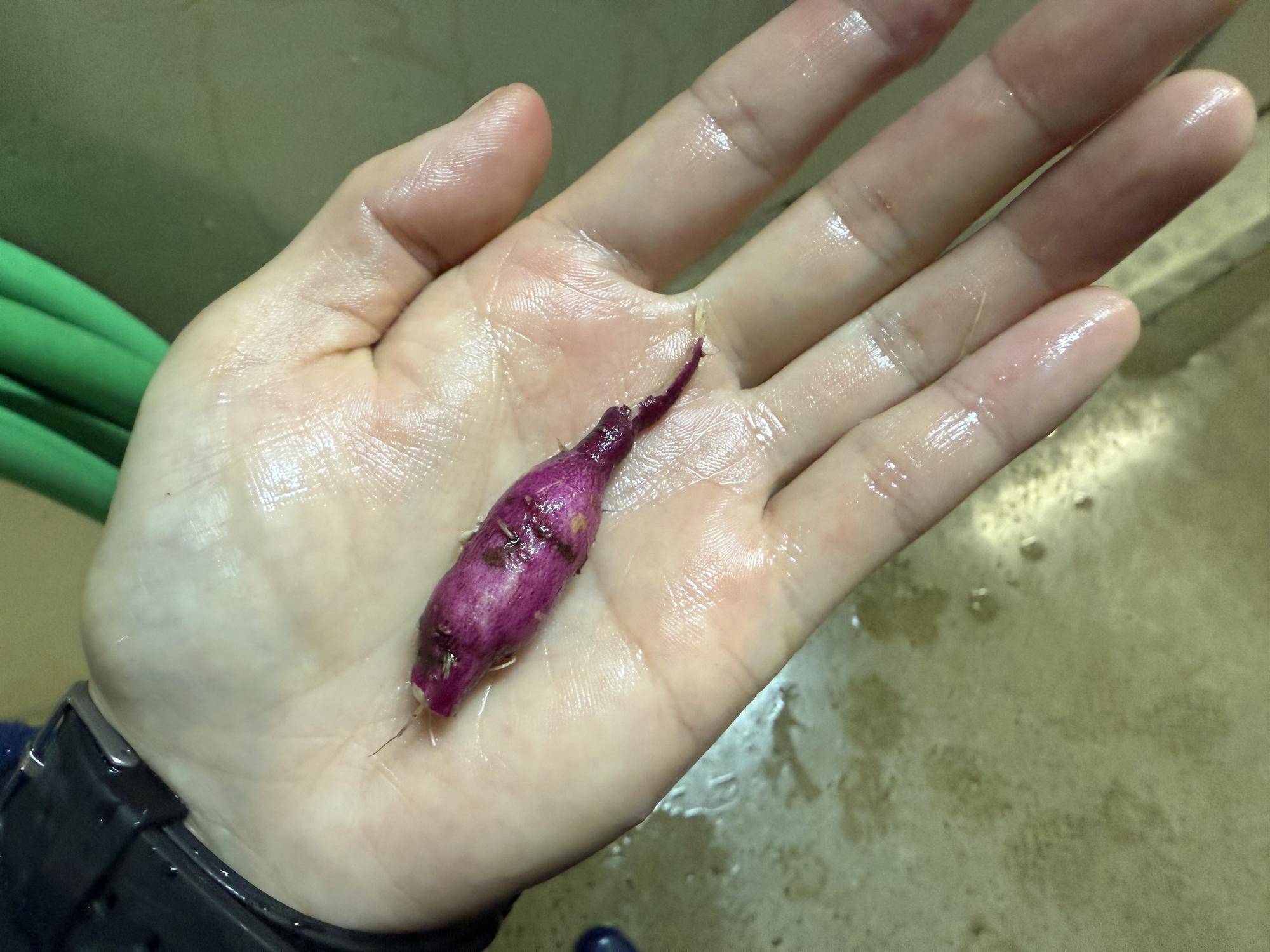 写真 2025-12-03 9 39 40.jpg