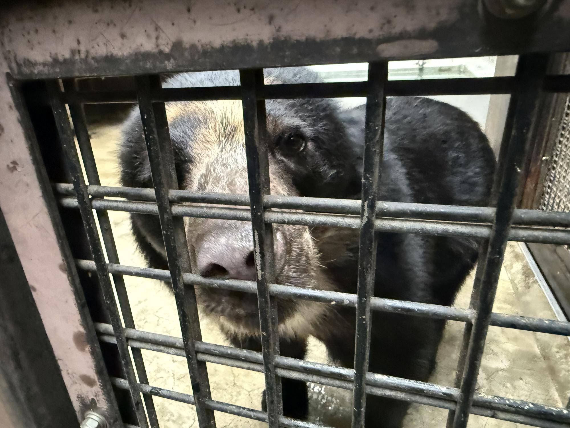 写真 2025-12-03 9 41 26.jpg