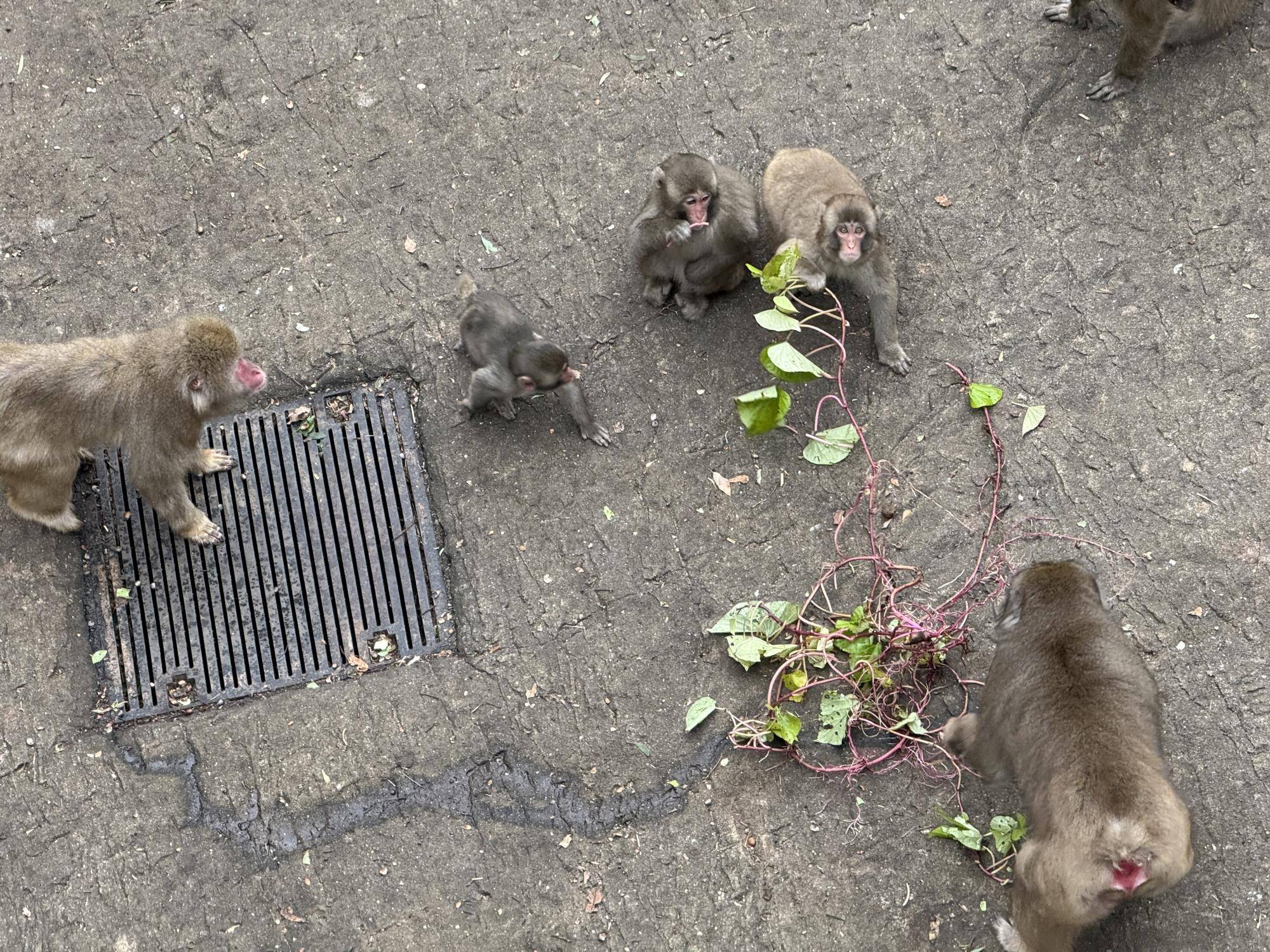 写真 2025-12-03 11 43 43.jpg