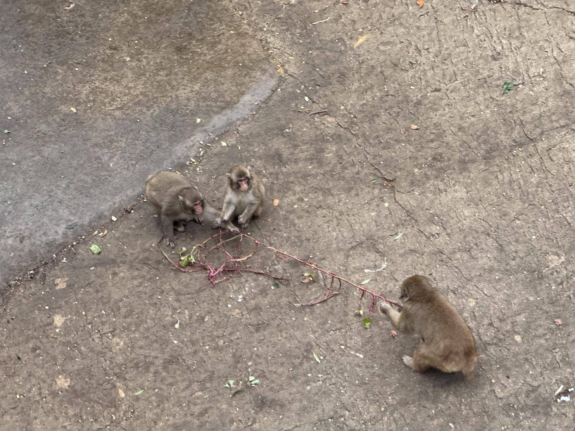 写真 2025-12-03 11 51 17.jpg