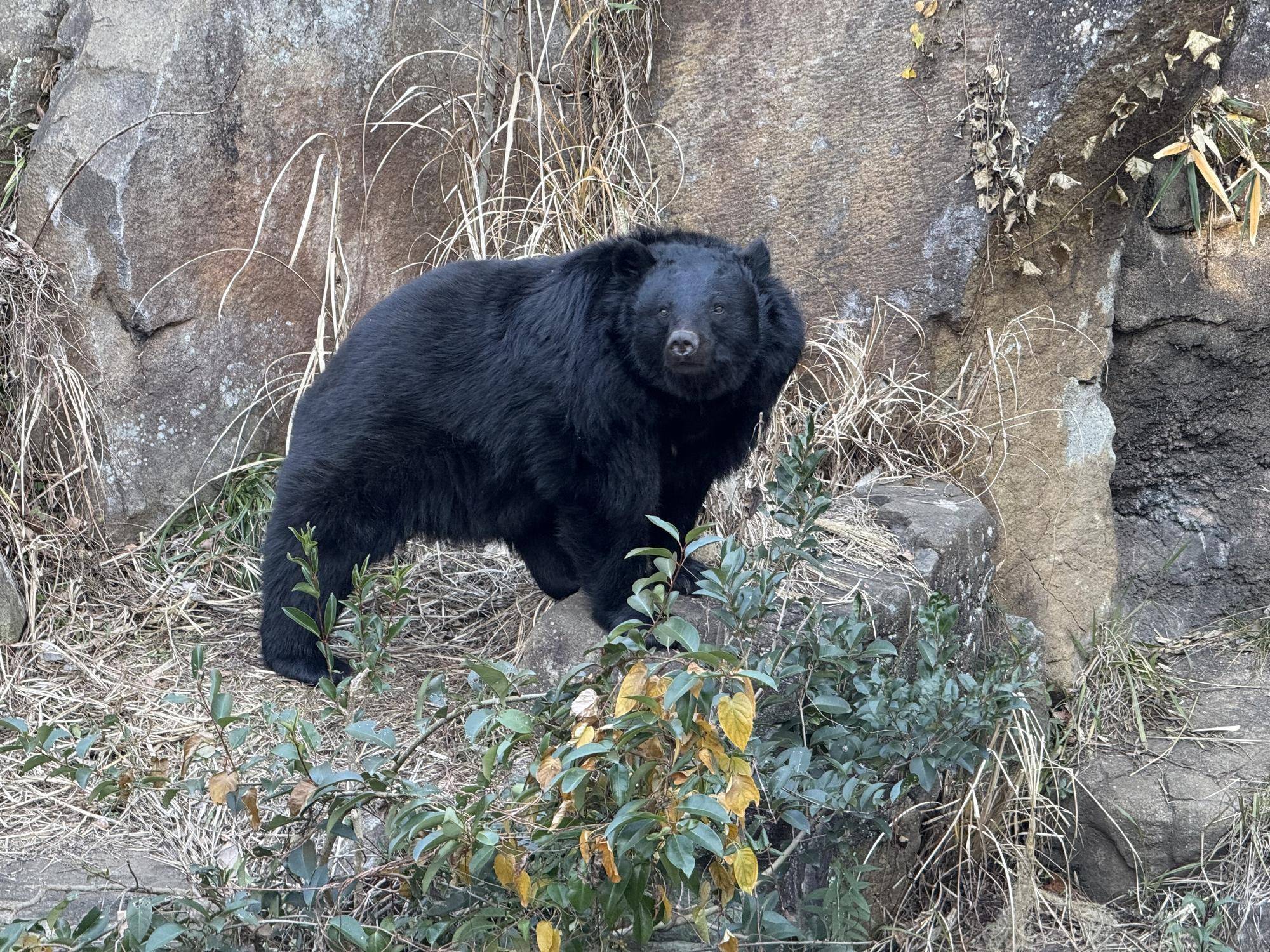 写真 2026-01-02 8 51 58.jpg