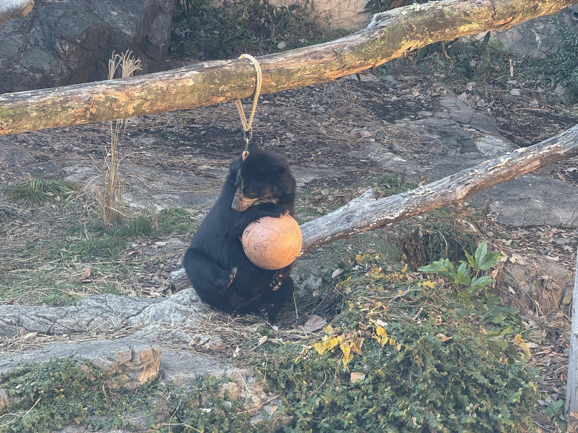 写真 2025-12-23 9 52 47.jpg