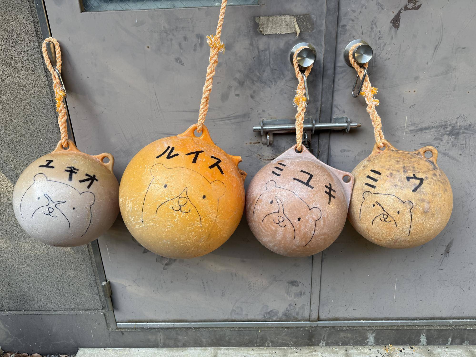 写真 2025-12-23 9 04 05.jpg