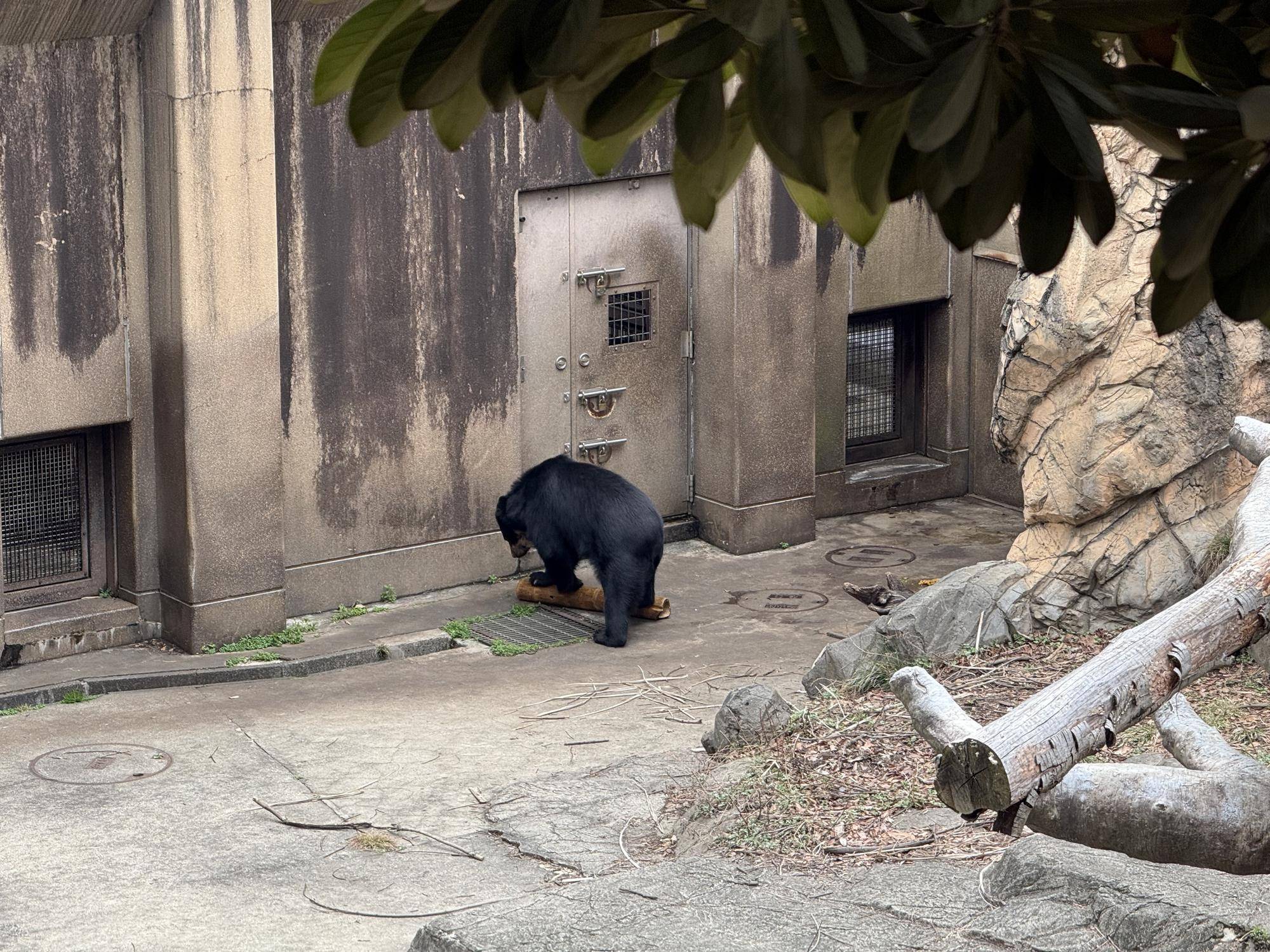 写真 2026-03-06 14 23 51.jpg