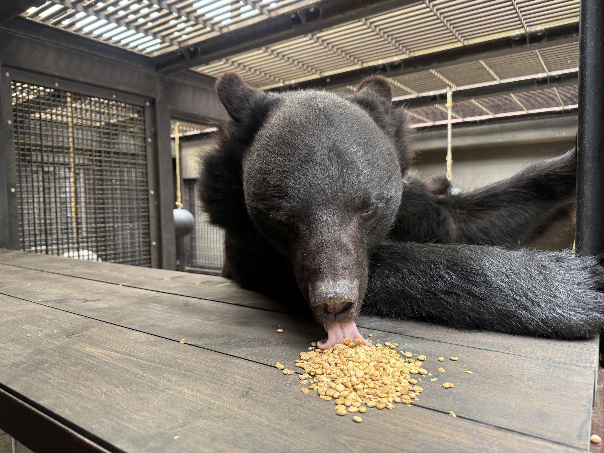 写真 2026-03-31 11 16 08.jpg