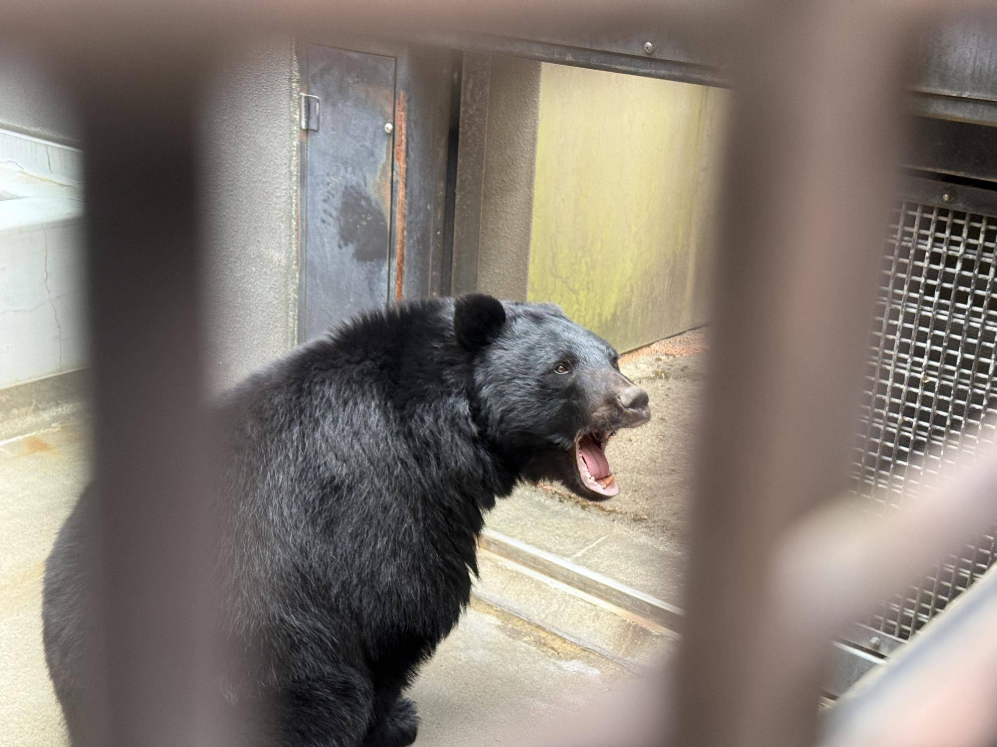 写真 2026-03-02 9 02 23.jpg