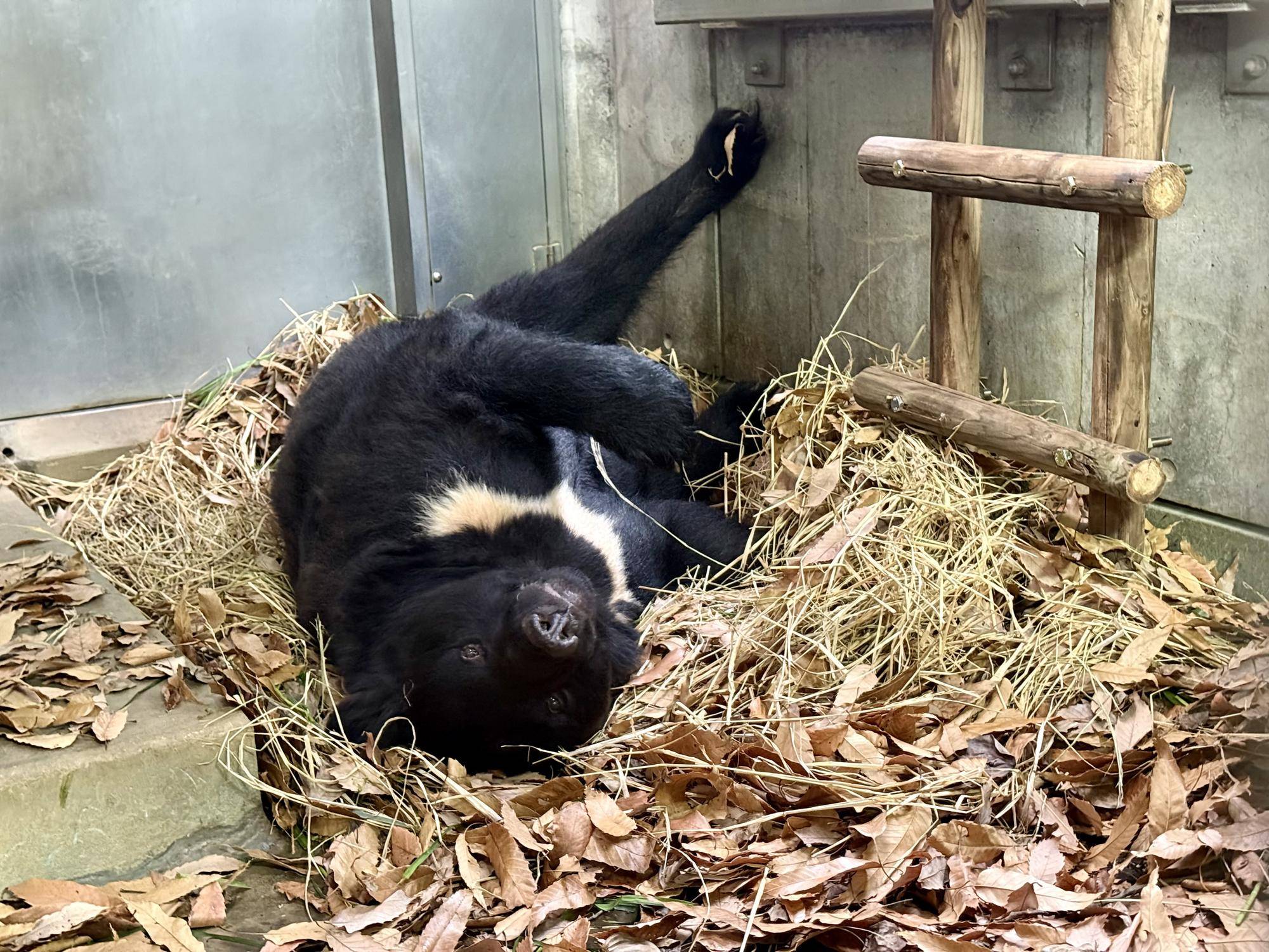 写真 2026-03-30 16 56 35.jpg