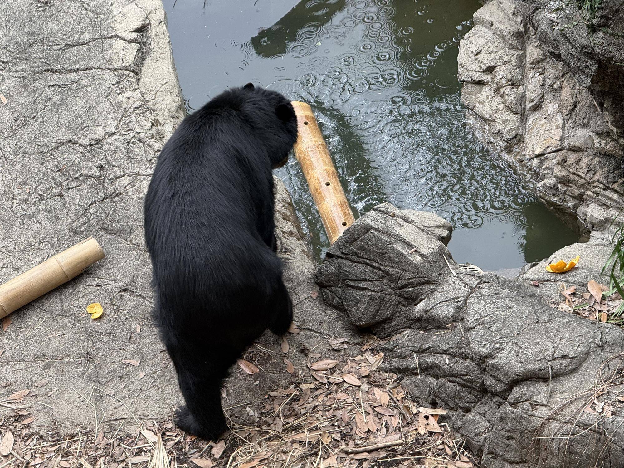 写真 2026-03-06 14 21 45.jpg