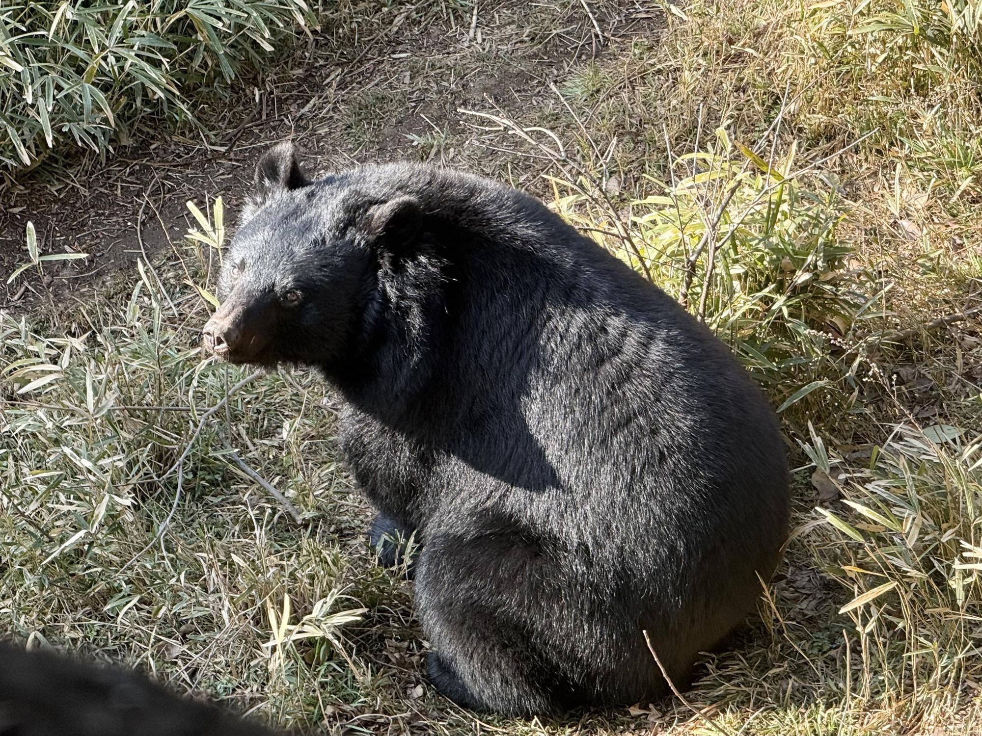 写真 2026-02-22 8 49 47.jpg