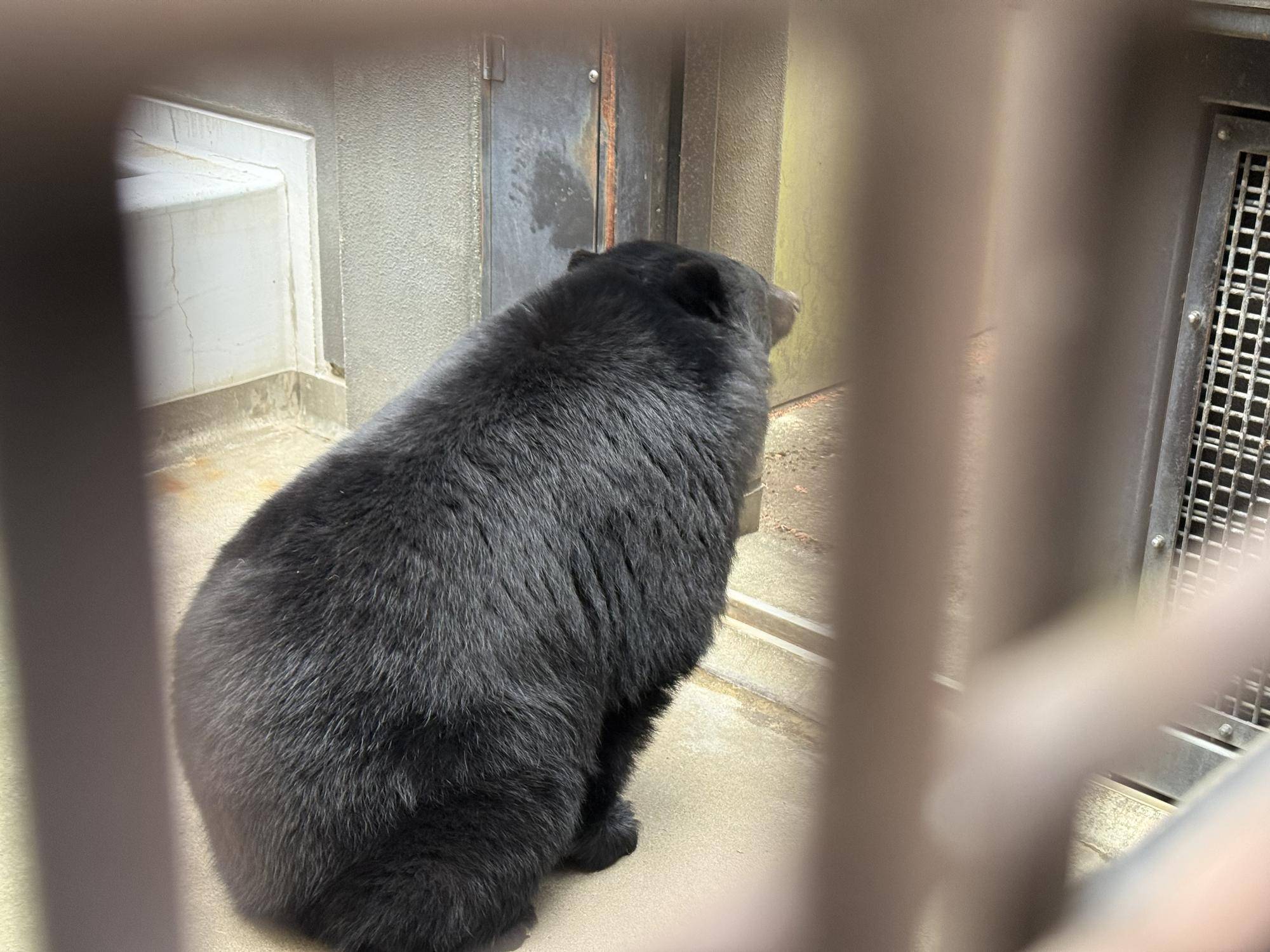 写真 2026-03-02 9 02 31.jpg