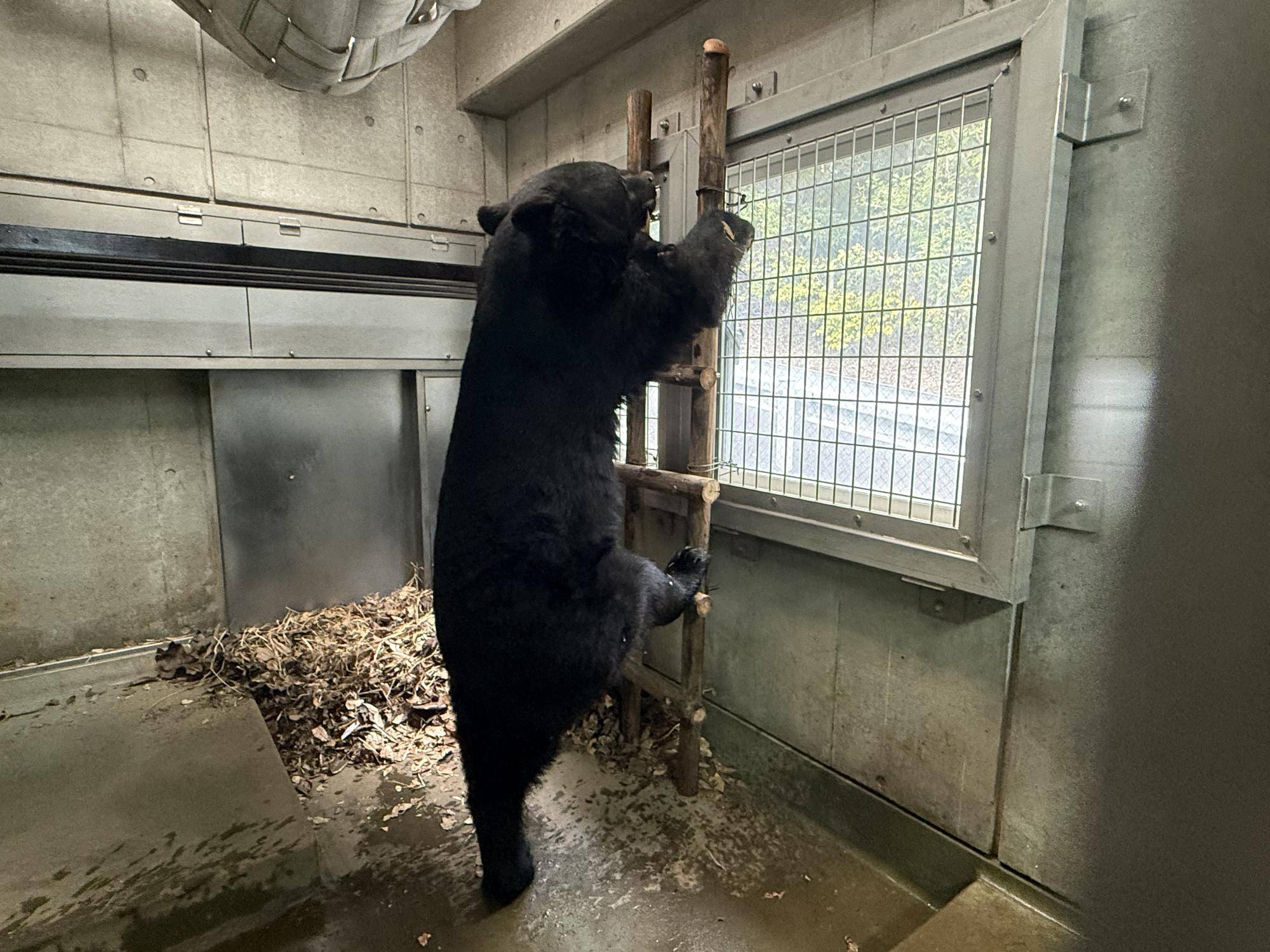 写真 2026-03-16 11 49 01.jpg