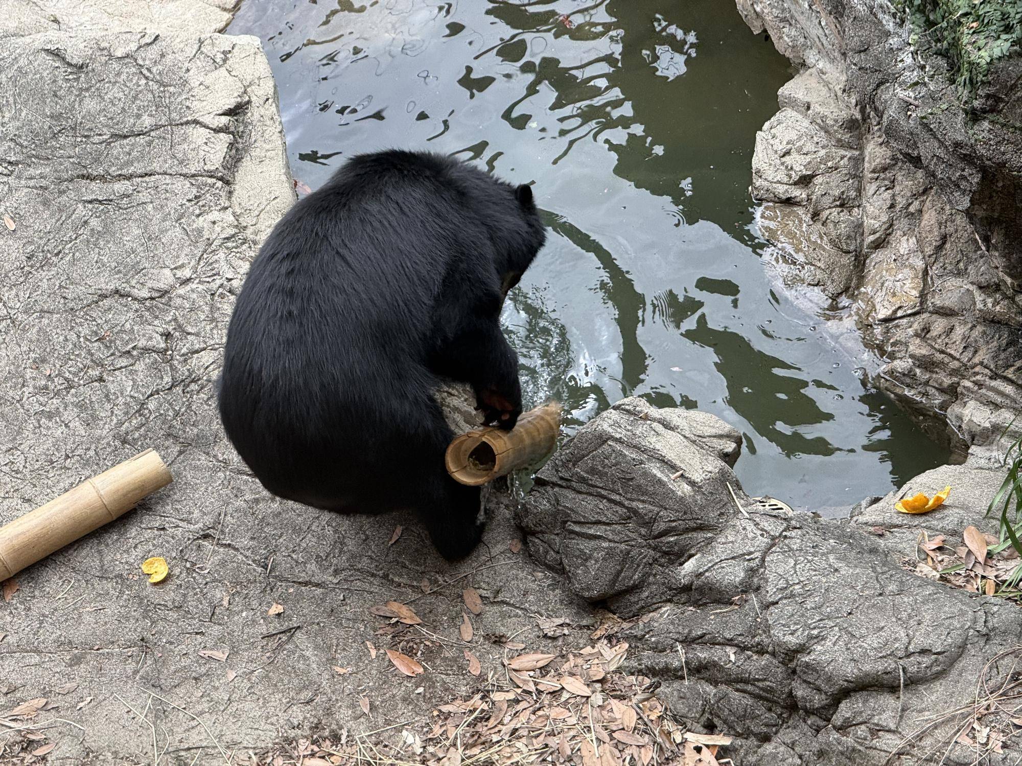 写真 2026-03-06 14 21 53.jpg