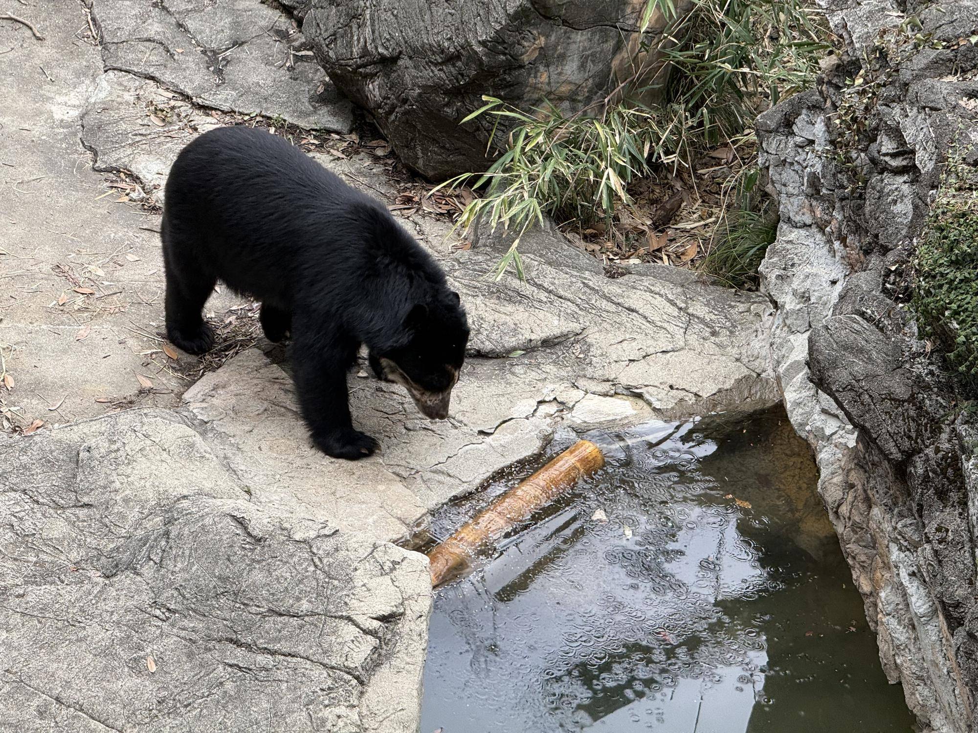 写真 2026-03-06 14 25 25.jpg