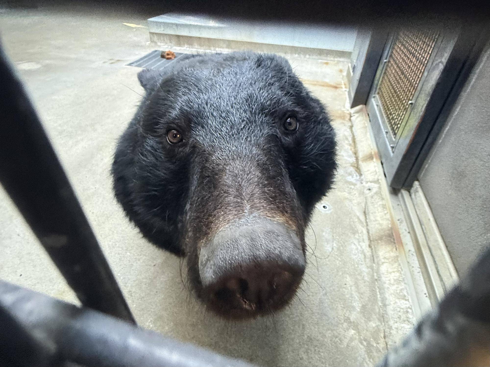 写真 2026-02-19 9 02 08.jpg