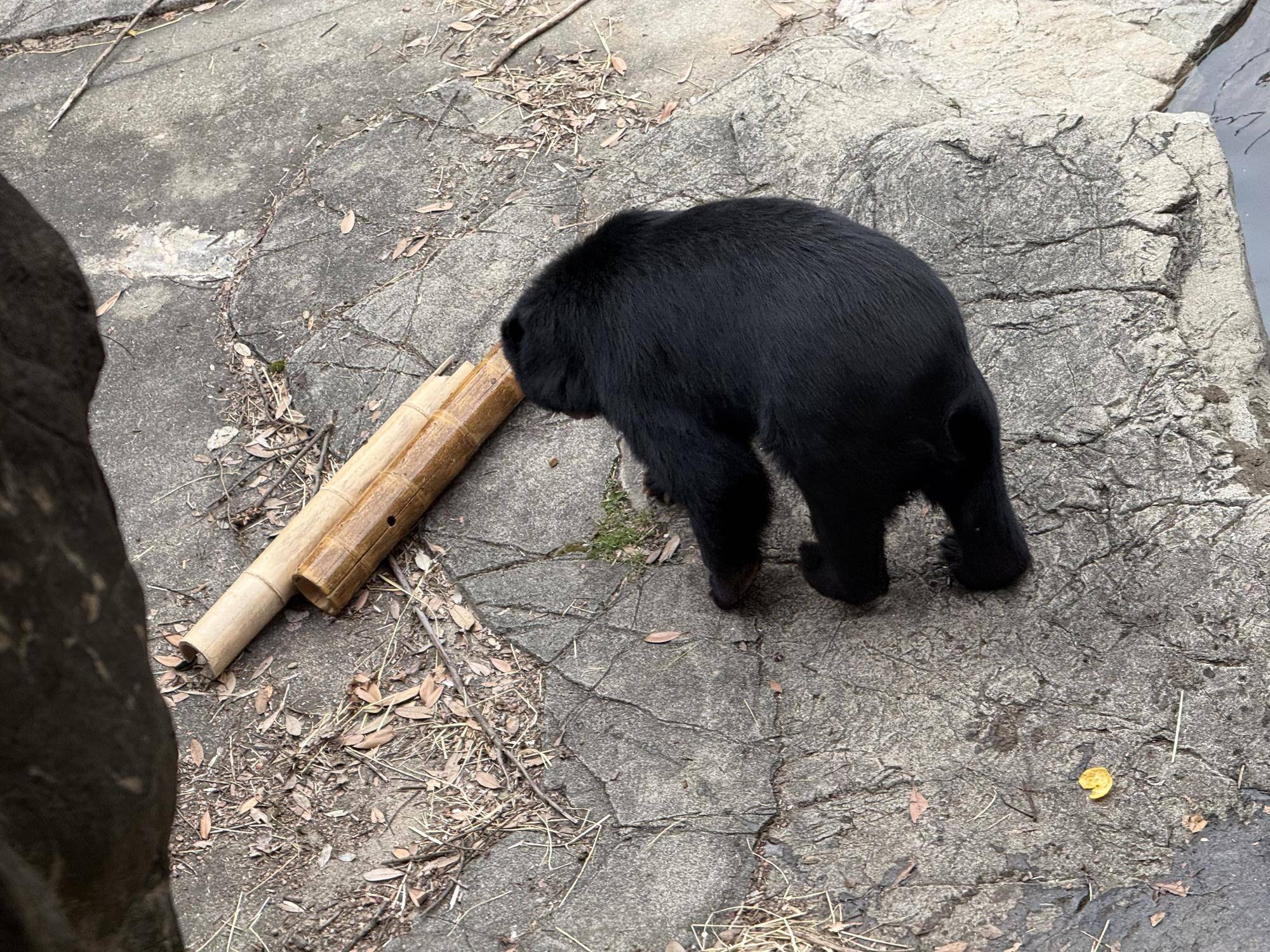 写真 2026-03-06 14 22 29.jpg