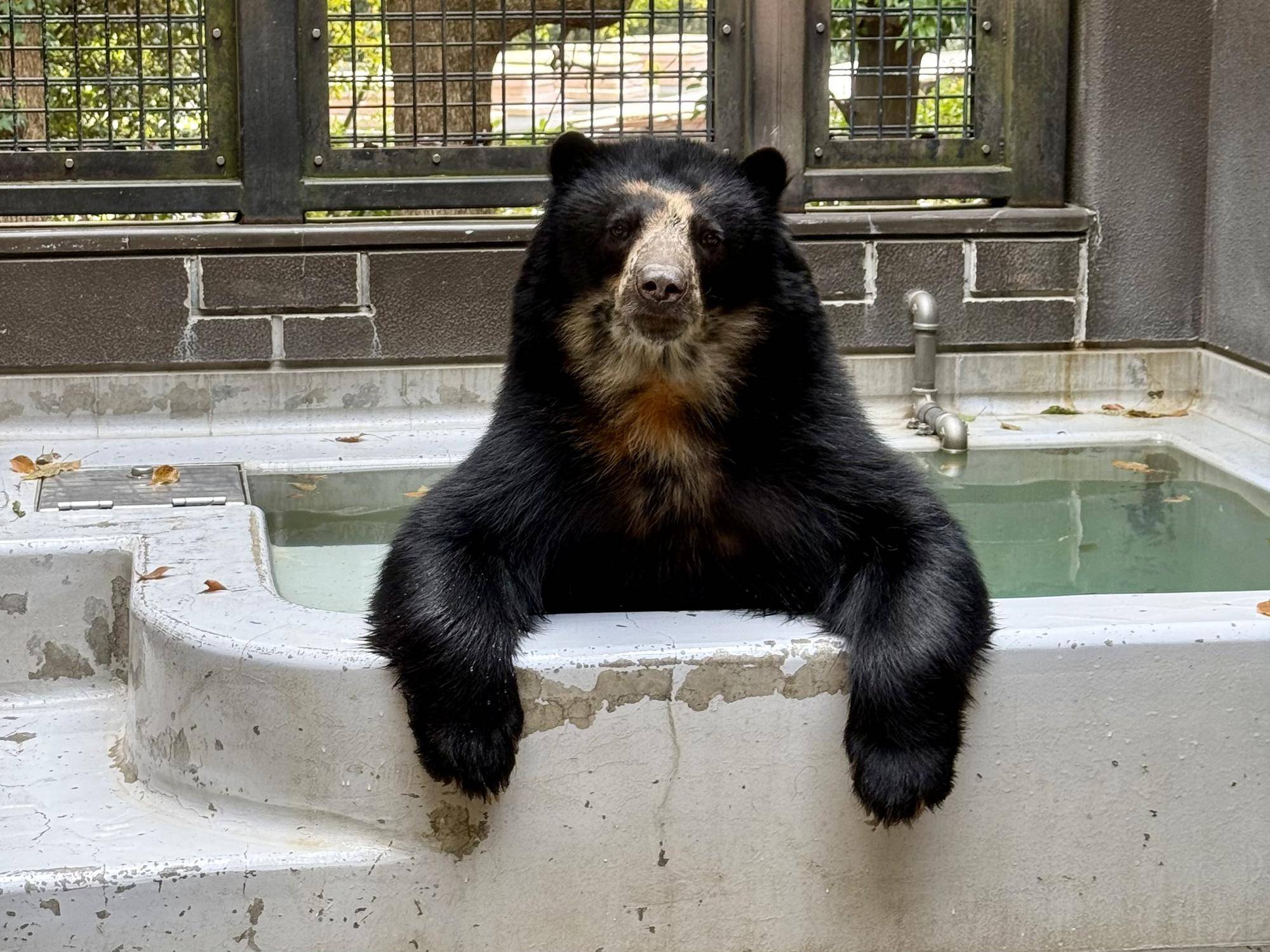 写真 2026-03-30 10 54 54.jpg