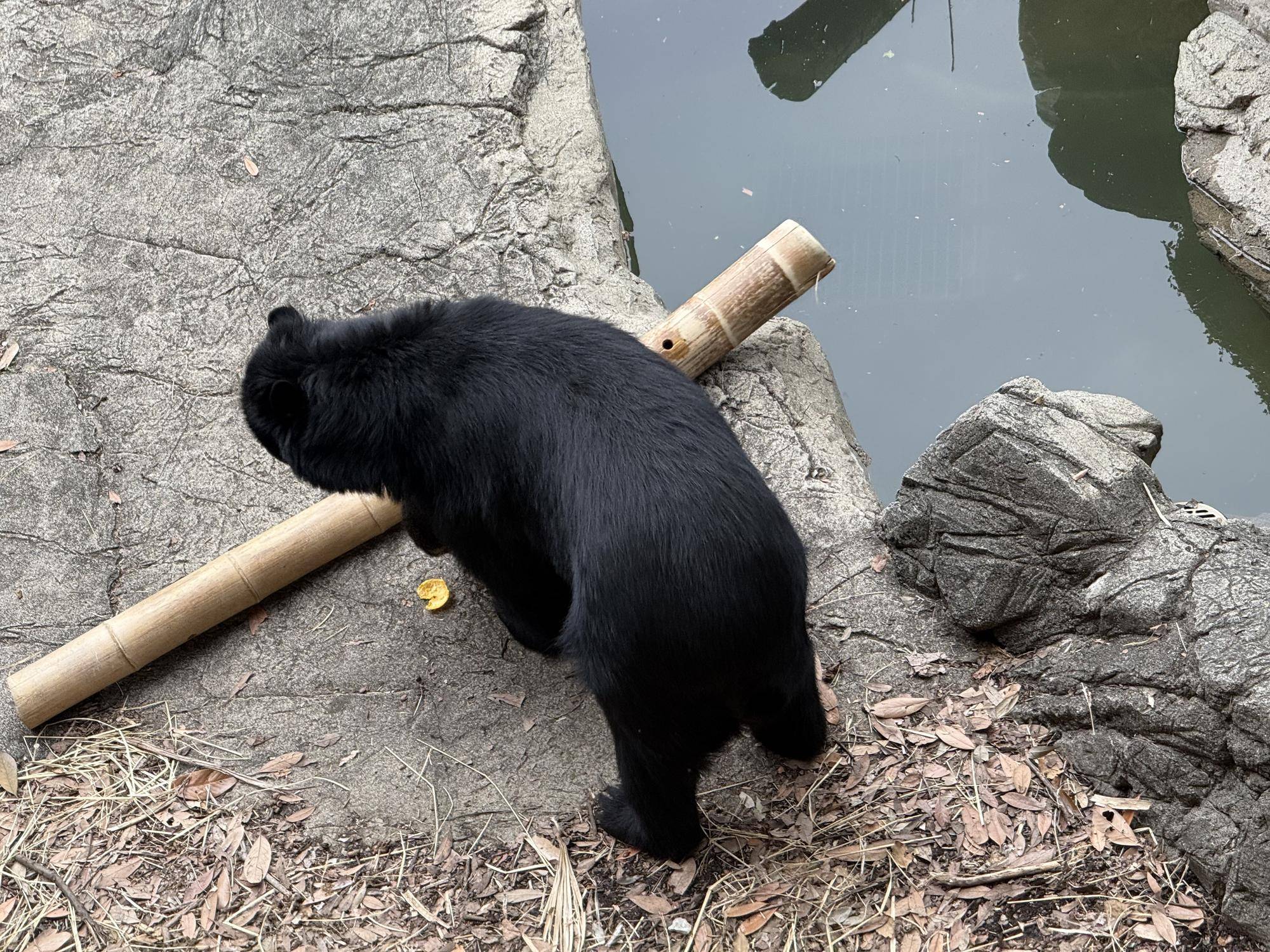 写真 2026-03-06 14 21 43.jpg