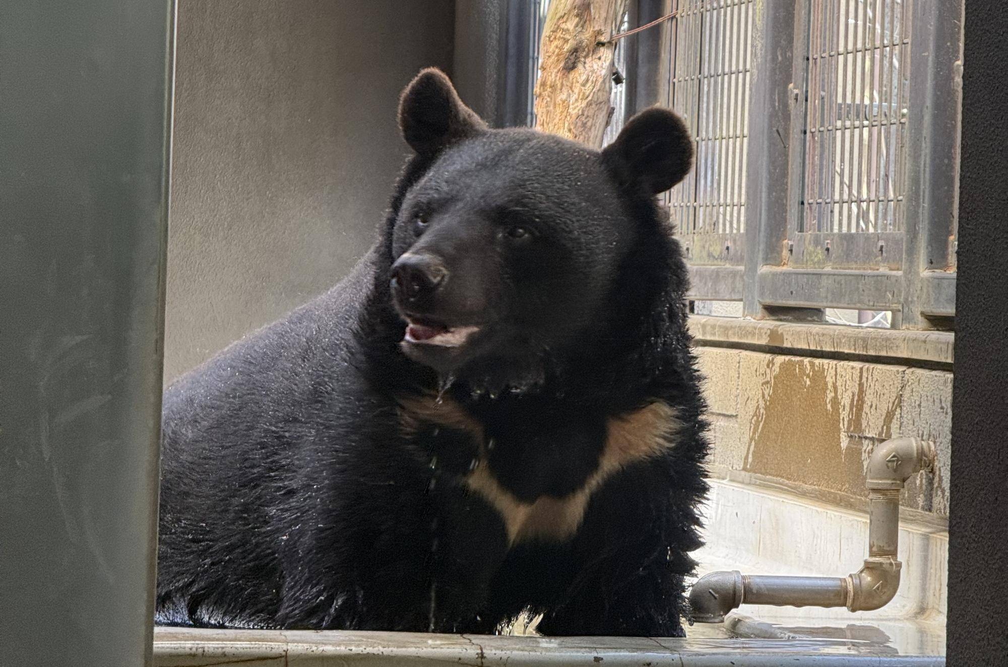 写真 2026-03-09 11 16 33.jpg