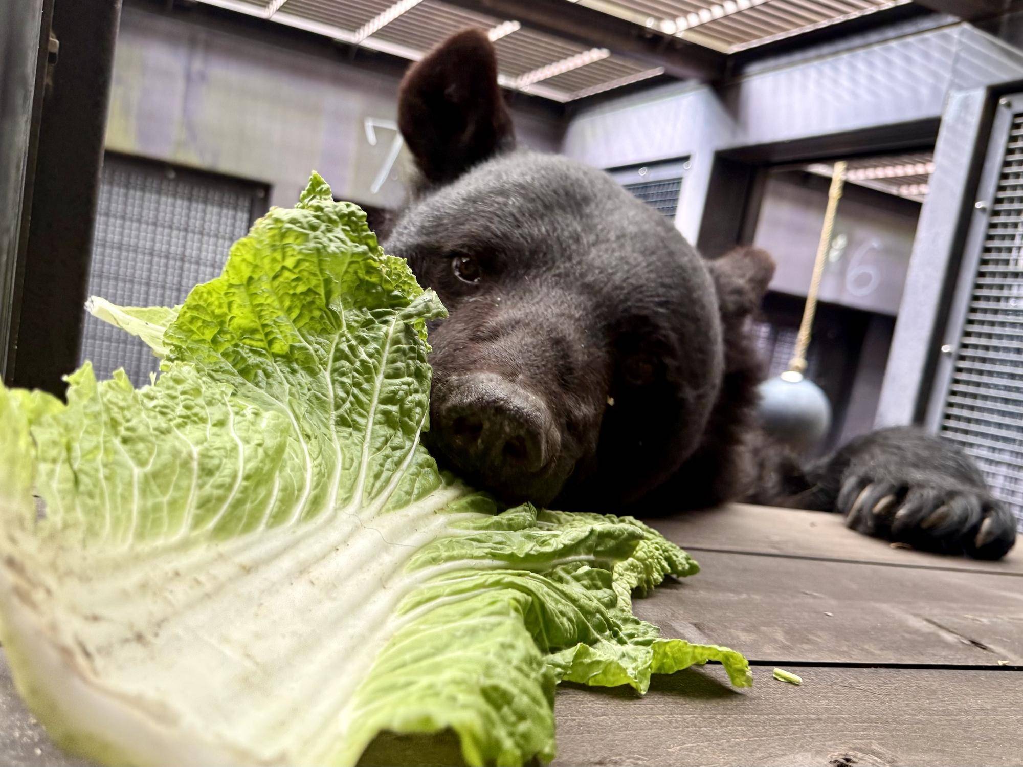 写真 2026-03-30 15 50 13.jpg