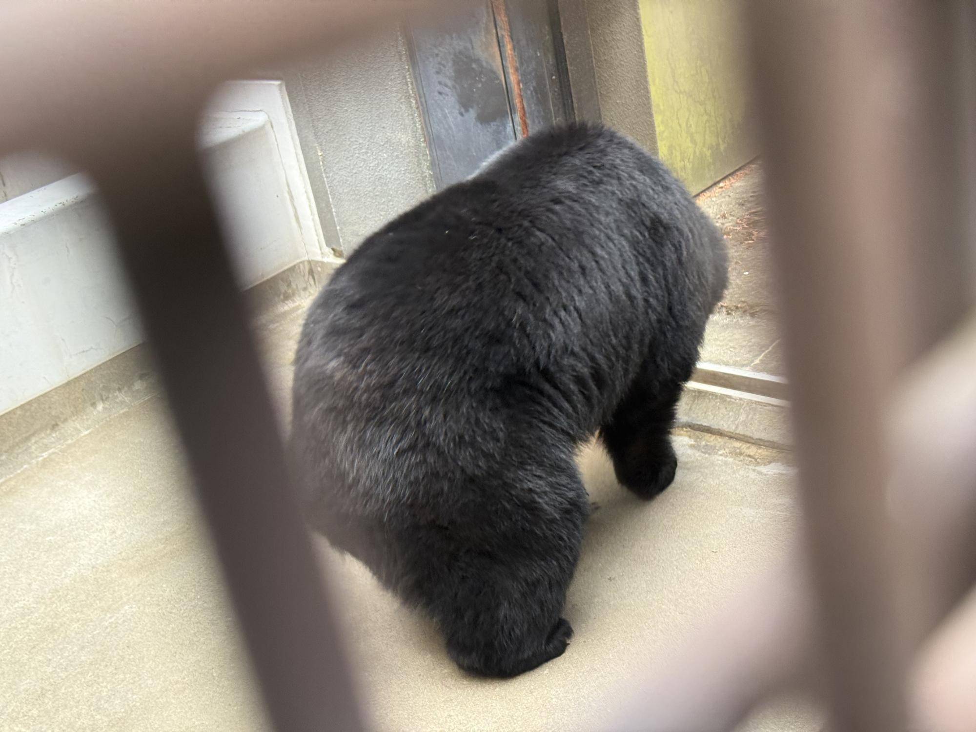 写真 2026-03-02 9 02 57.jpg