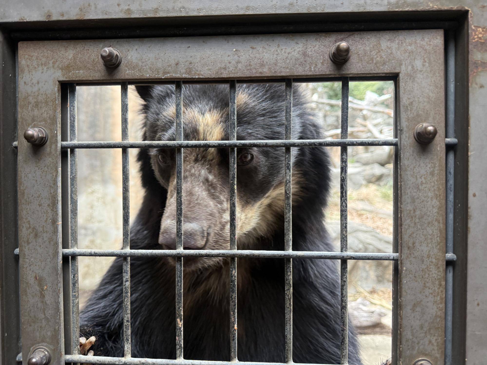 写真 2026-01-28 9 52 50.jpg