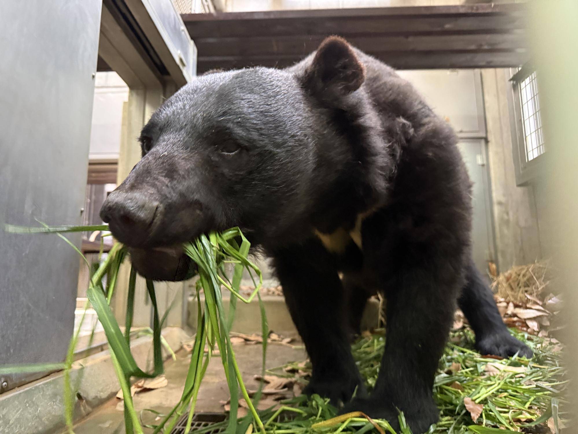 写真 2026-03-30 15 36 28.jpg