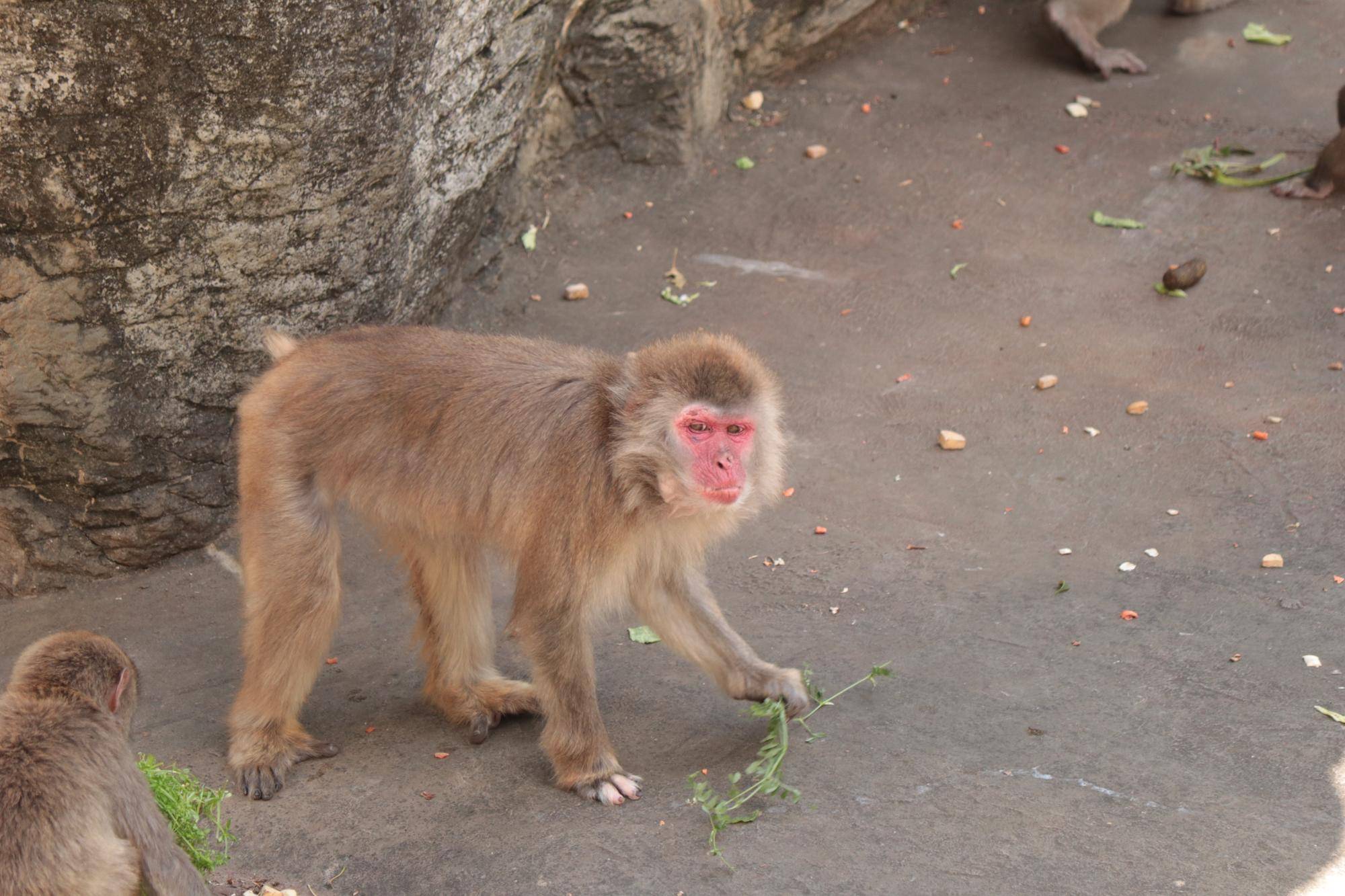 写真 2026-04-16 13 40 44.jpg