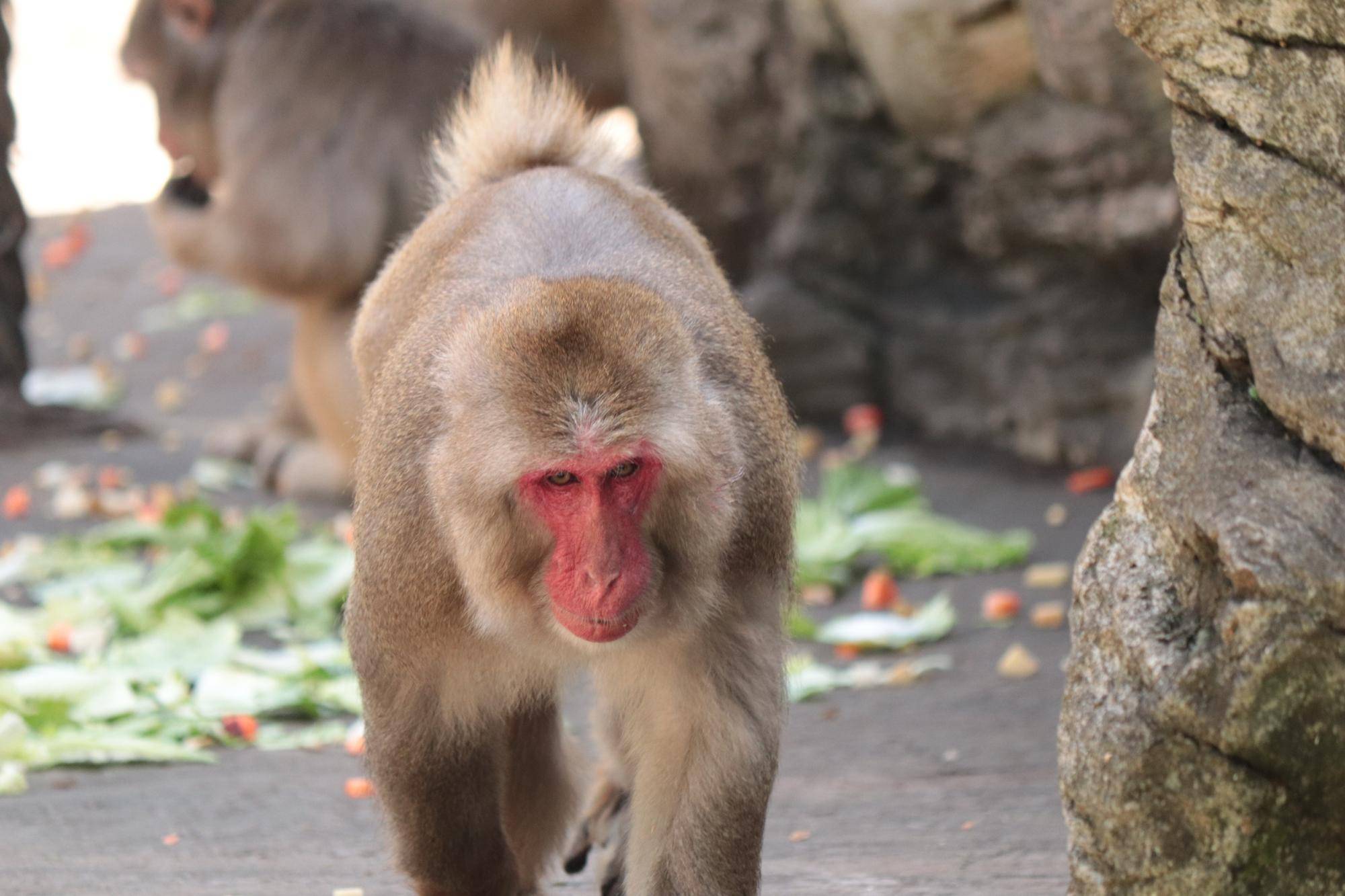 写真 2026-04-16 8 51 26.jpg