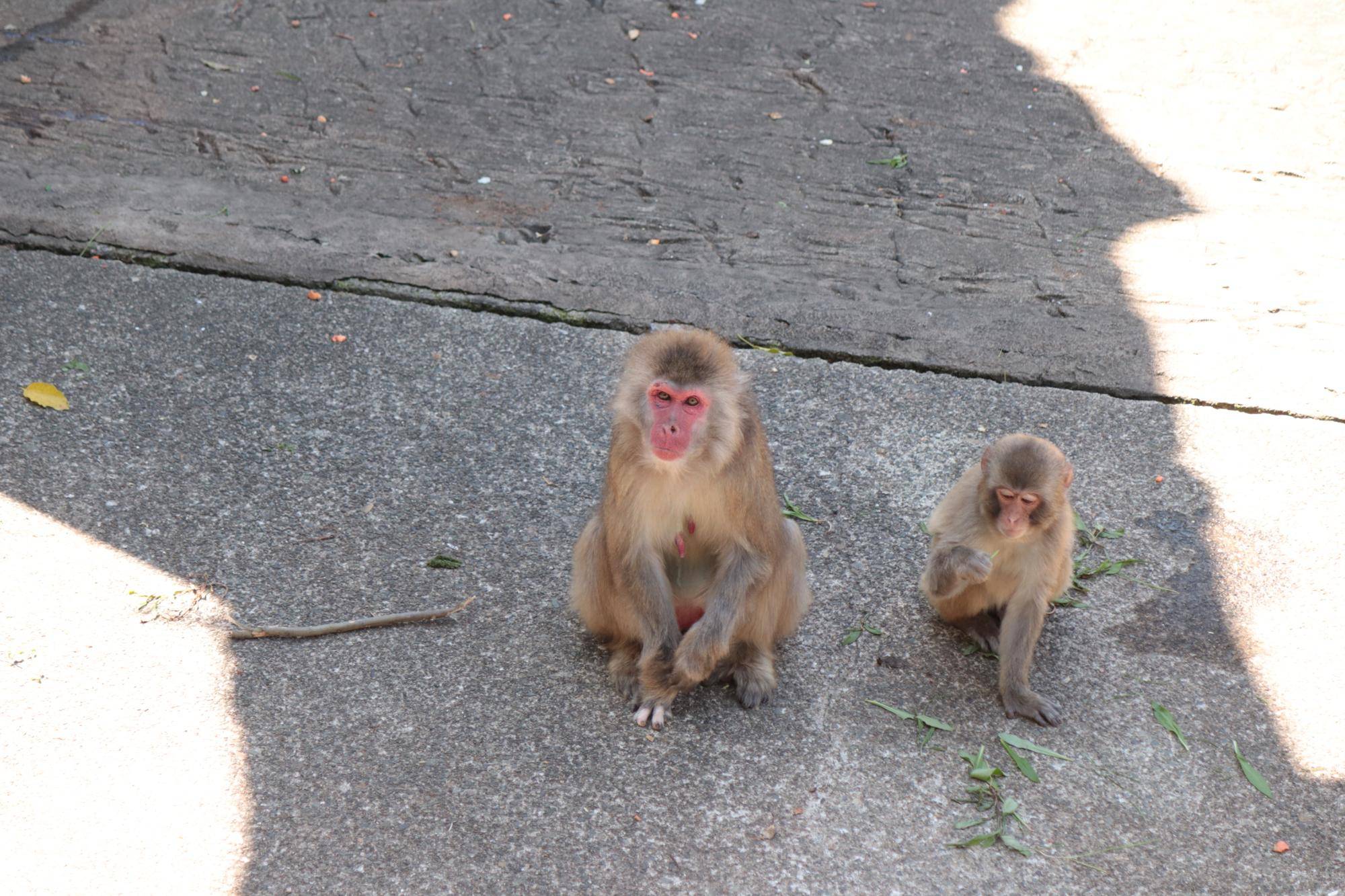 写真 2026-04-16 10 39 30.jpg