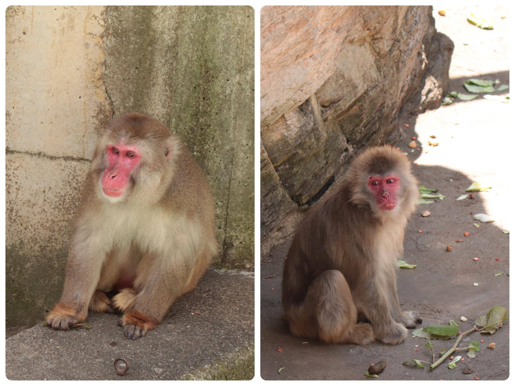 写真 2026-04-18 17 37 45.jpg