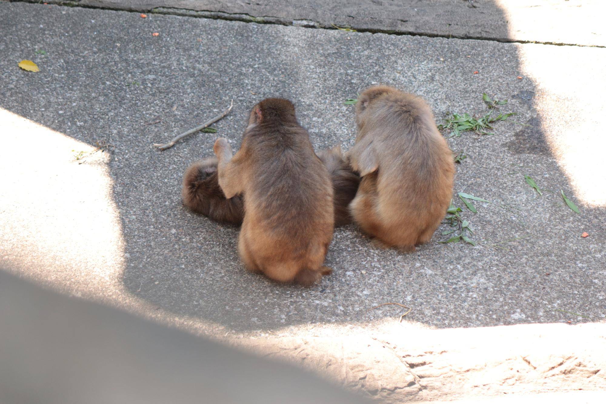 写真 2026-04-16 10 40 35.jpg