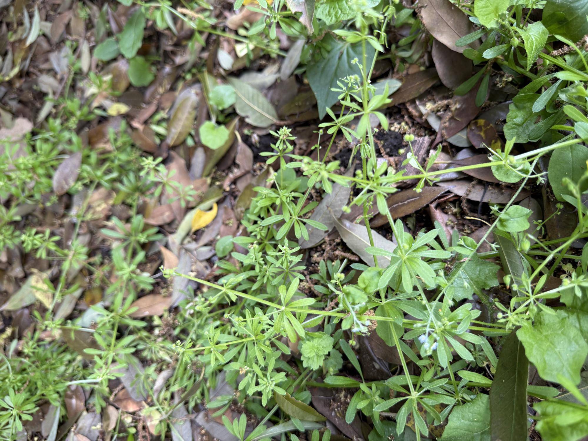 写真 2026-04-18 12 19 52.jpg