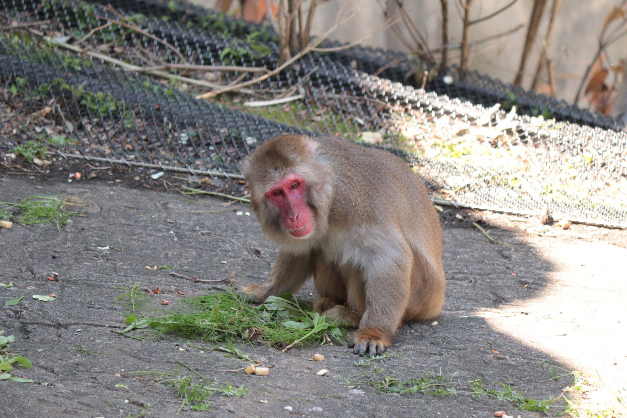 写真 2026-04-16 10 26 18.jpg