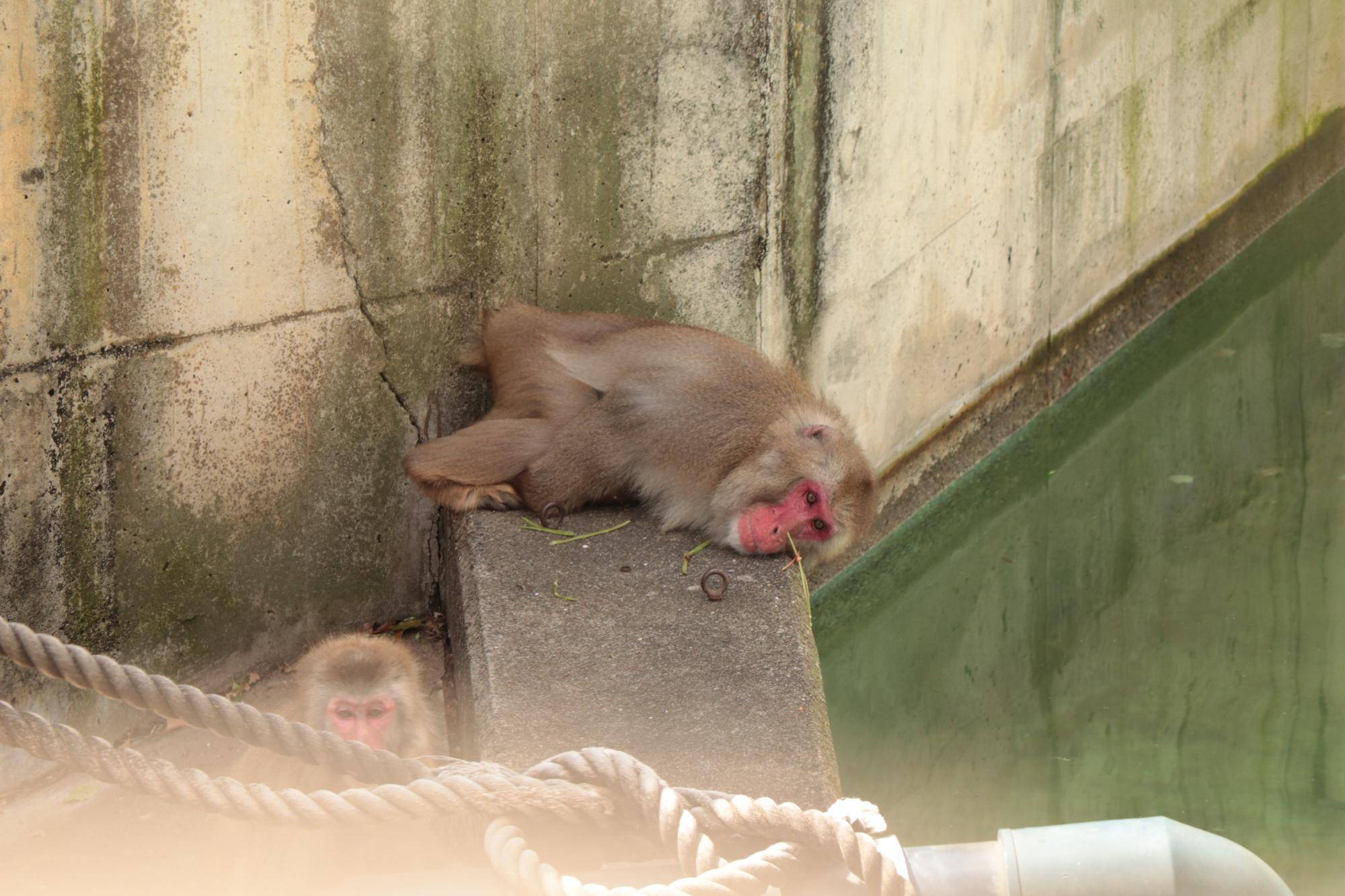 写真 2026-04-16 13 46 38.jpg