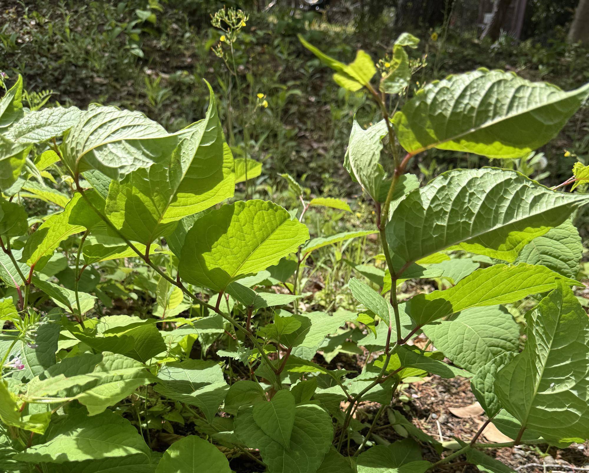 写真 2026-04-18 12 22 39.jpg