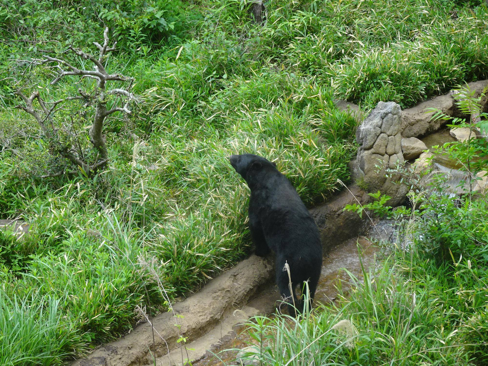 サンペイと川.jpg