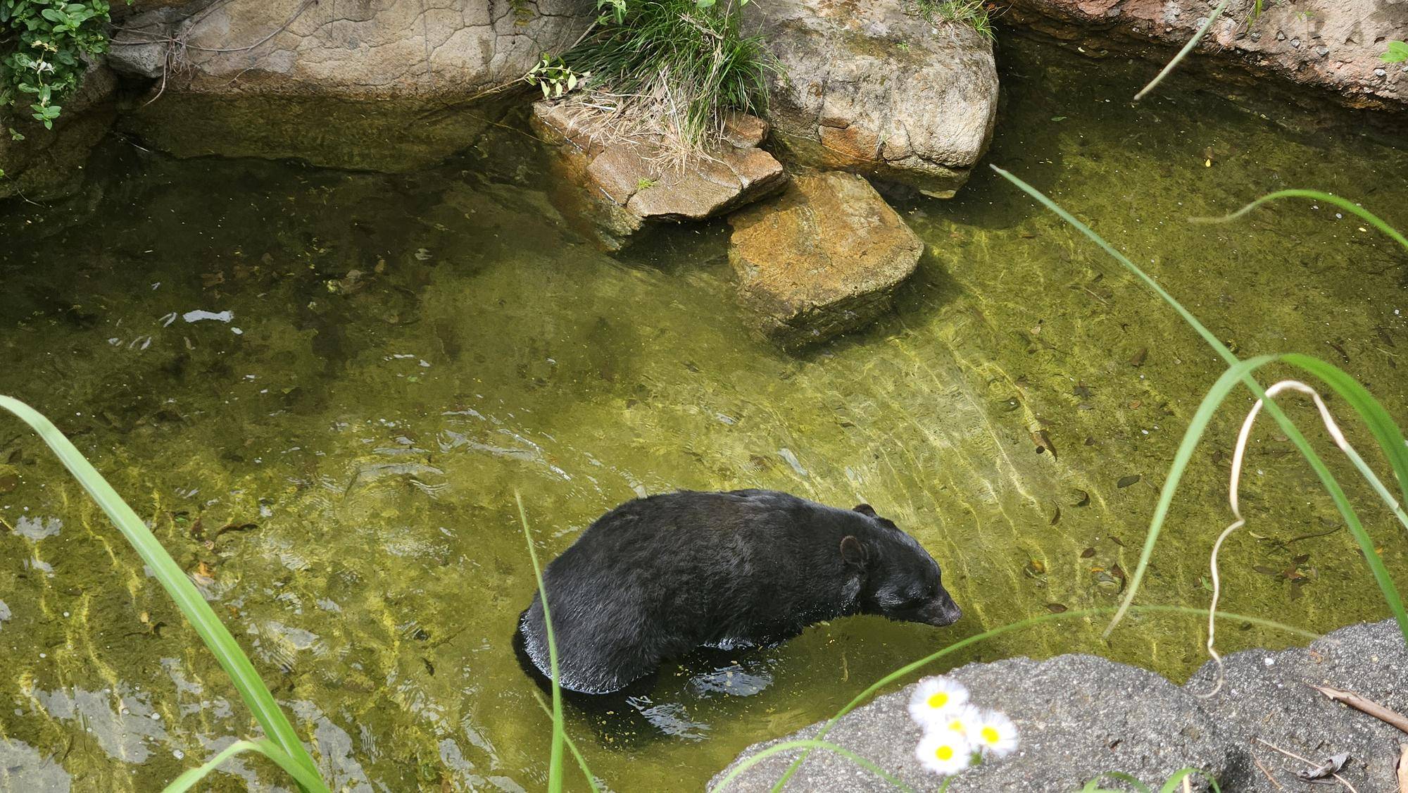 サンペイと水モート.jpg