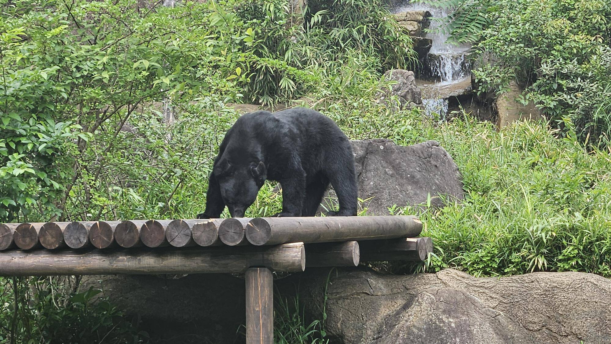 サンペイとお立ち台.jpg