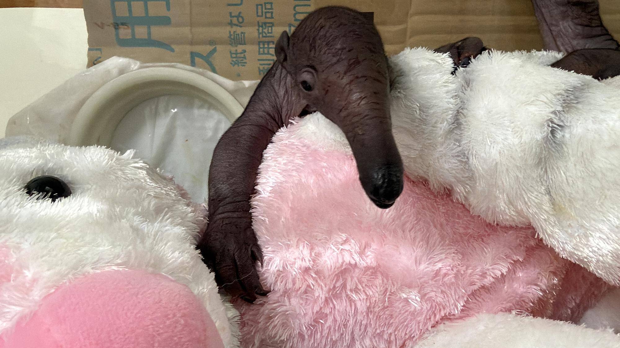 ２ちいさかったな.jpg