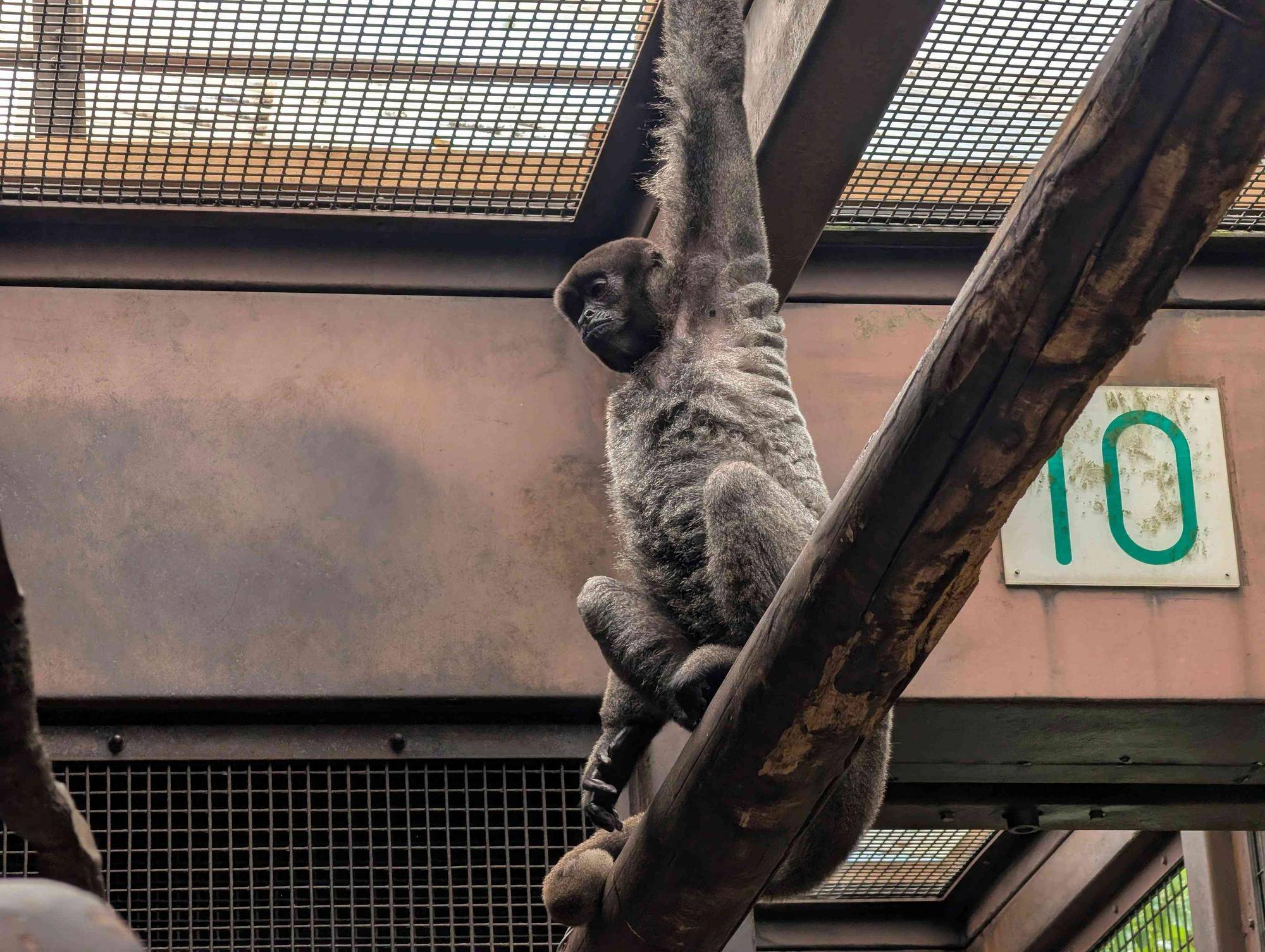 4頭同居④.jpg