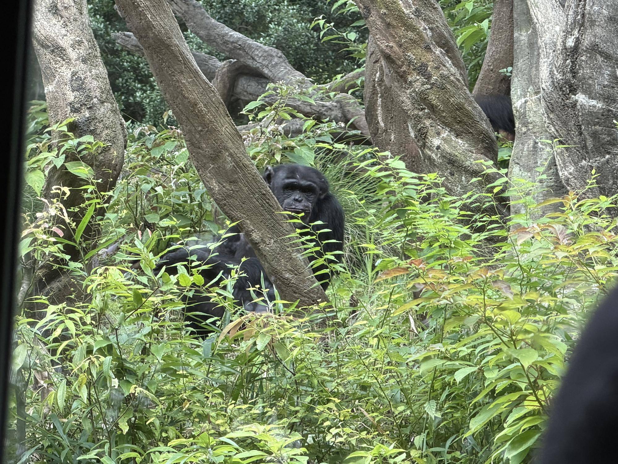 大きいのをゲットしたゴウ.jpeg