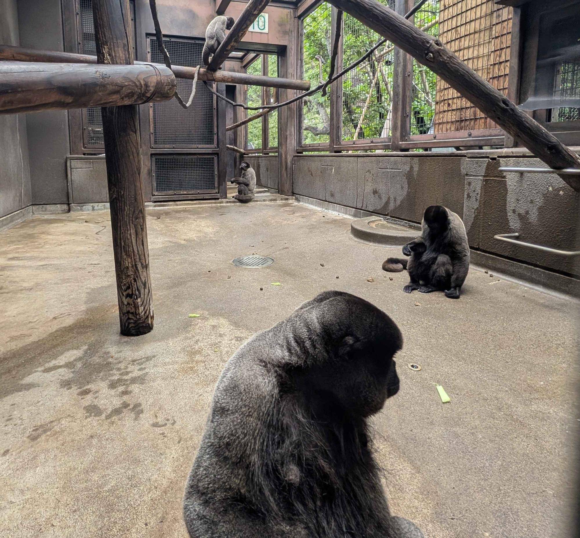 ４頭同居①.jpg