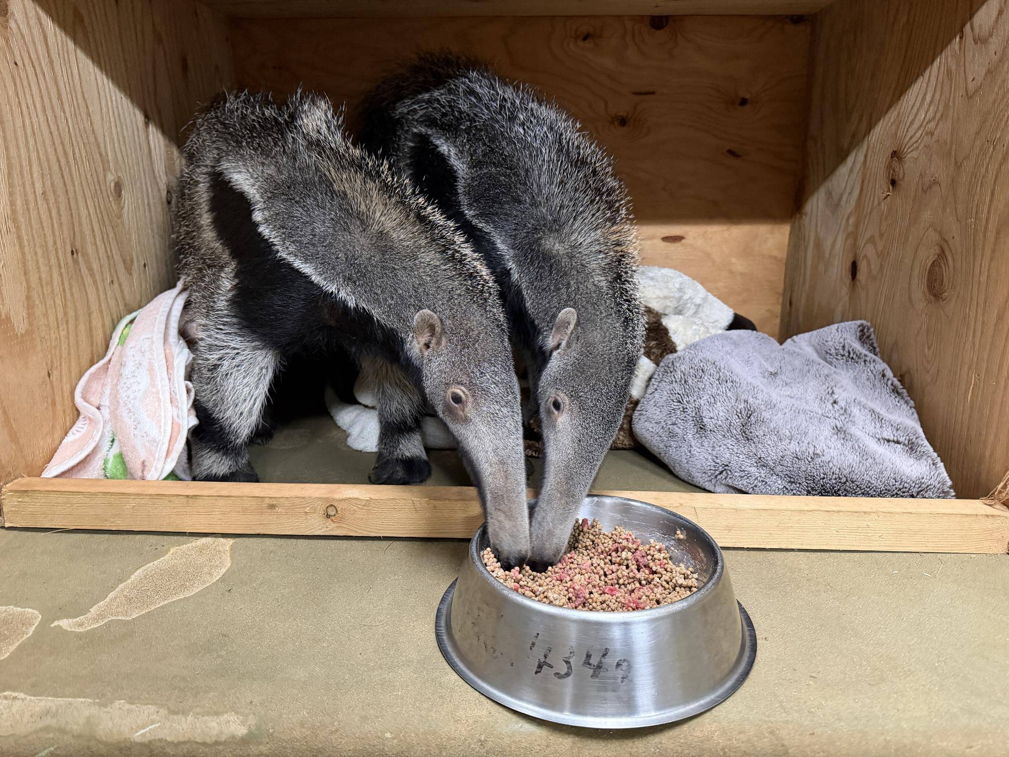 12食べる.jpg