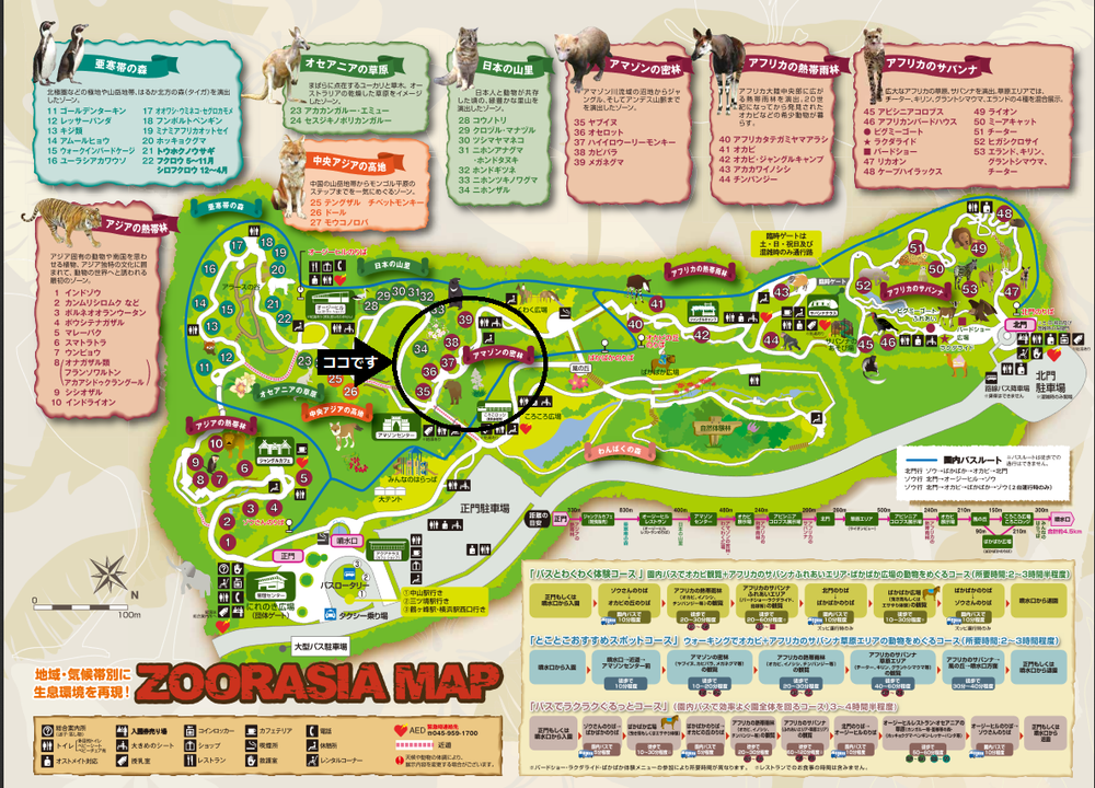 園内マップ全体矢印入り.png