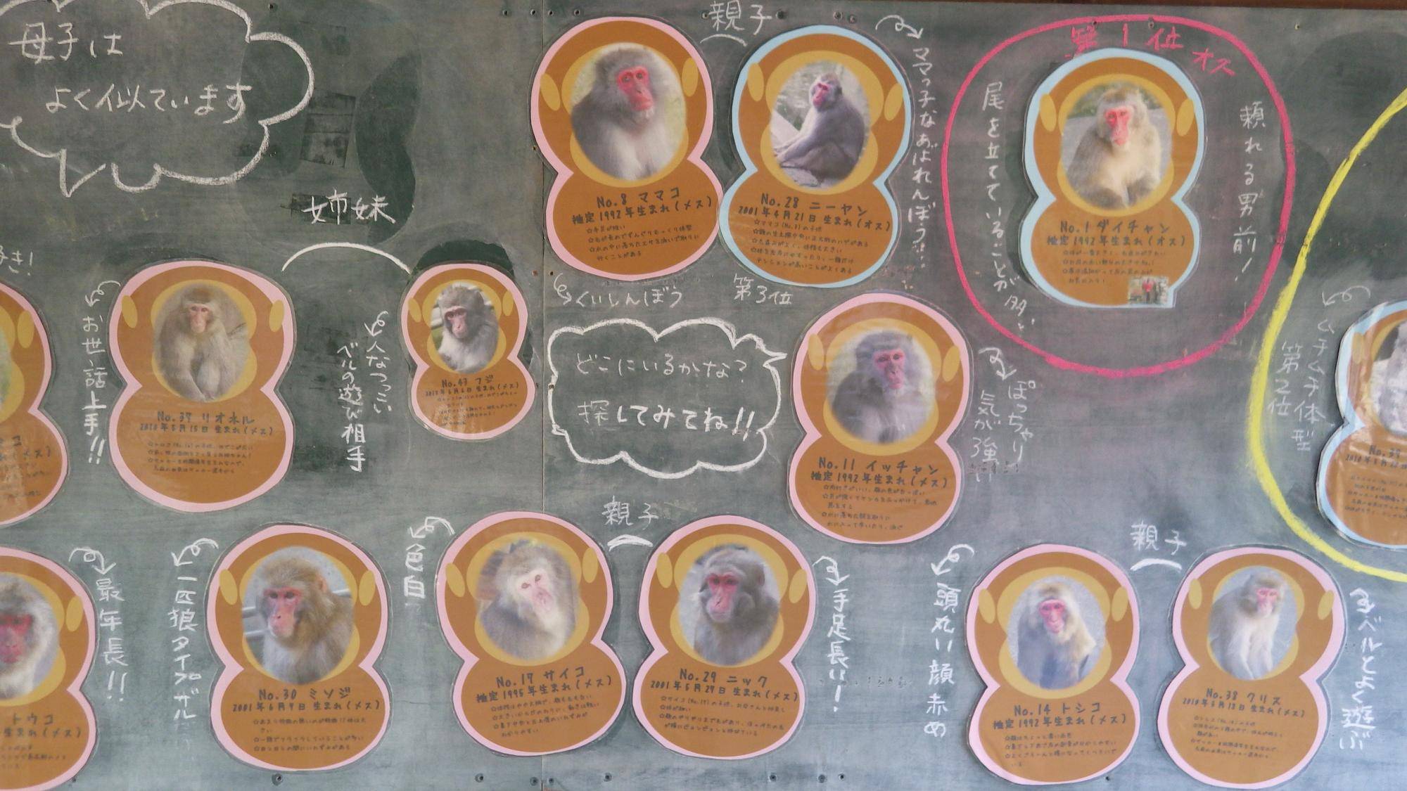 2018年?の個体紹介看板 (2).jpg