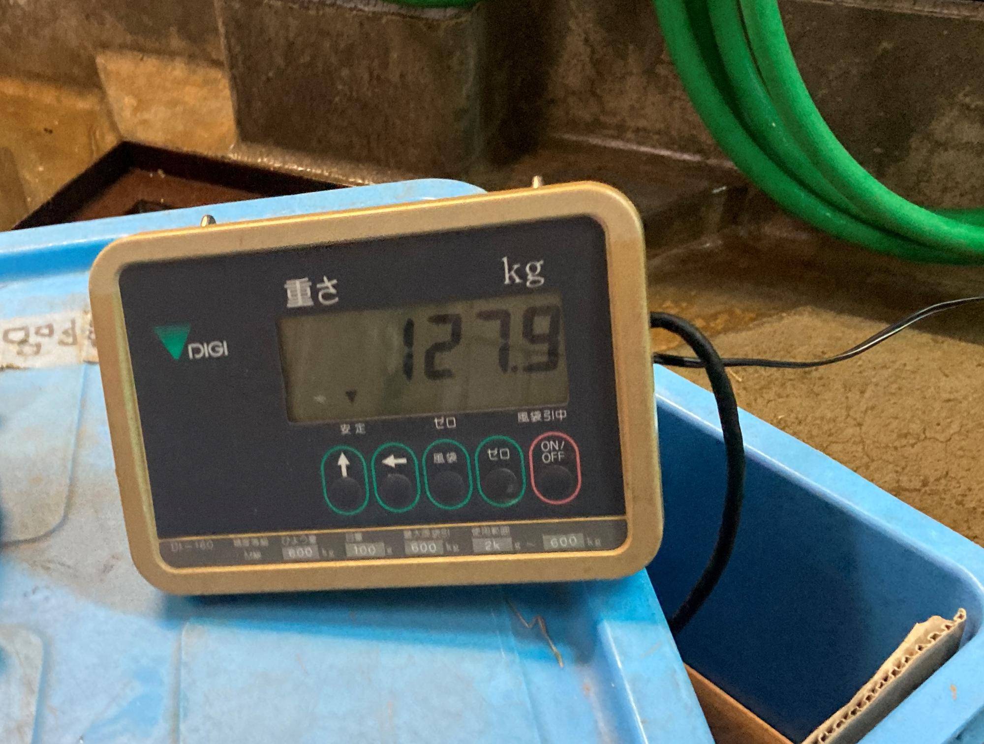 127.9kg
