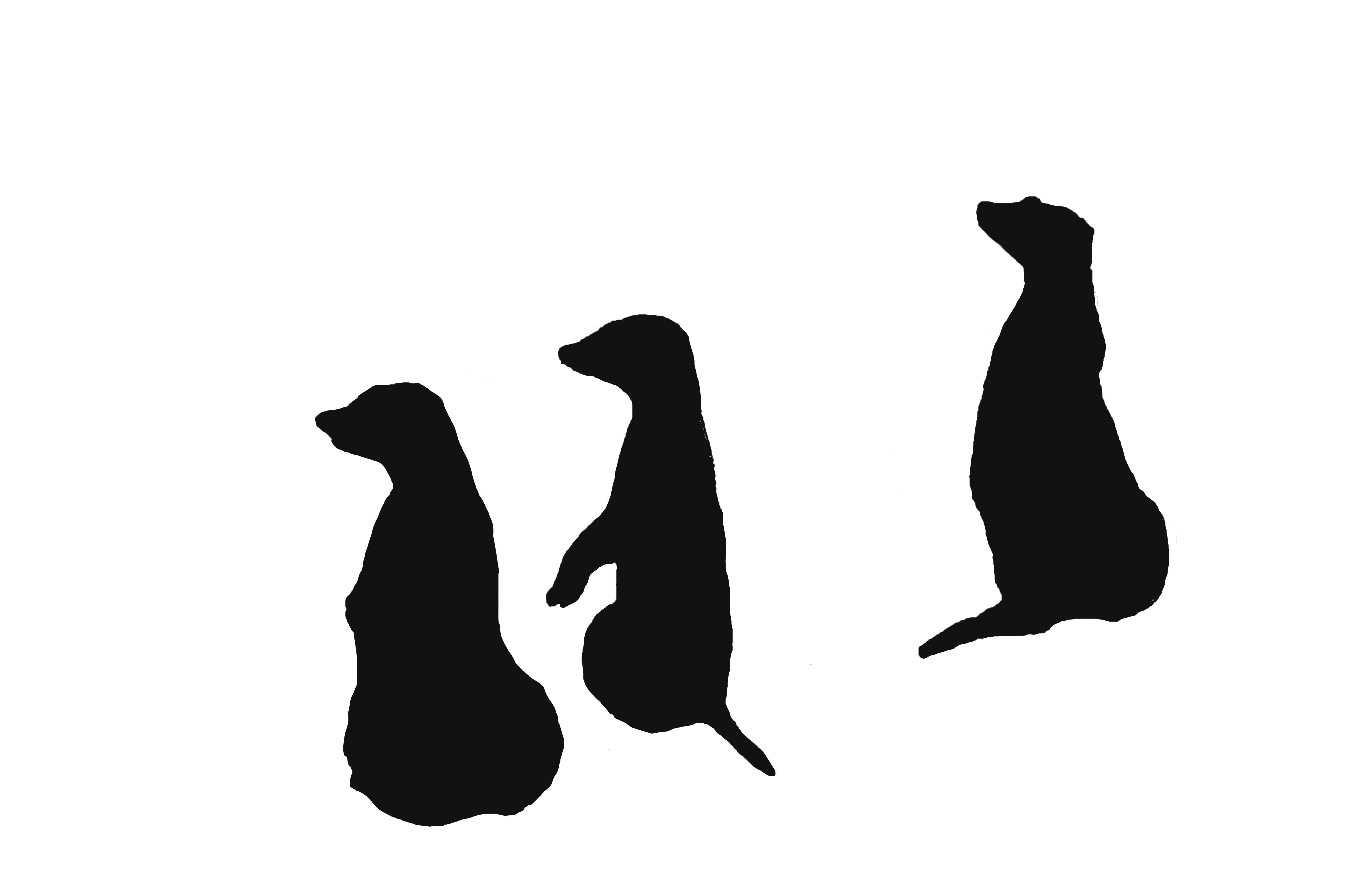 DSC_3296 のコピー.jpg