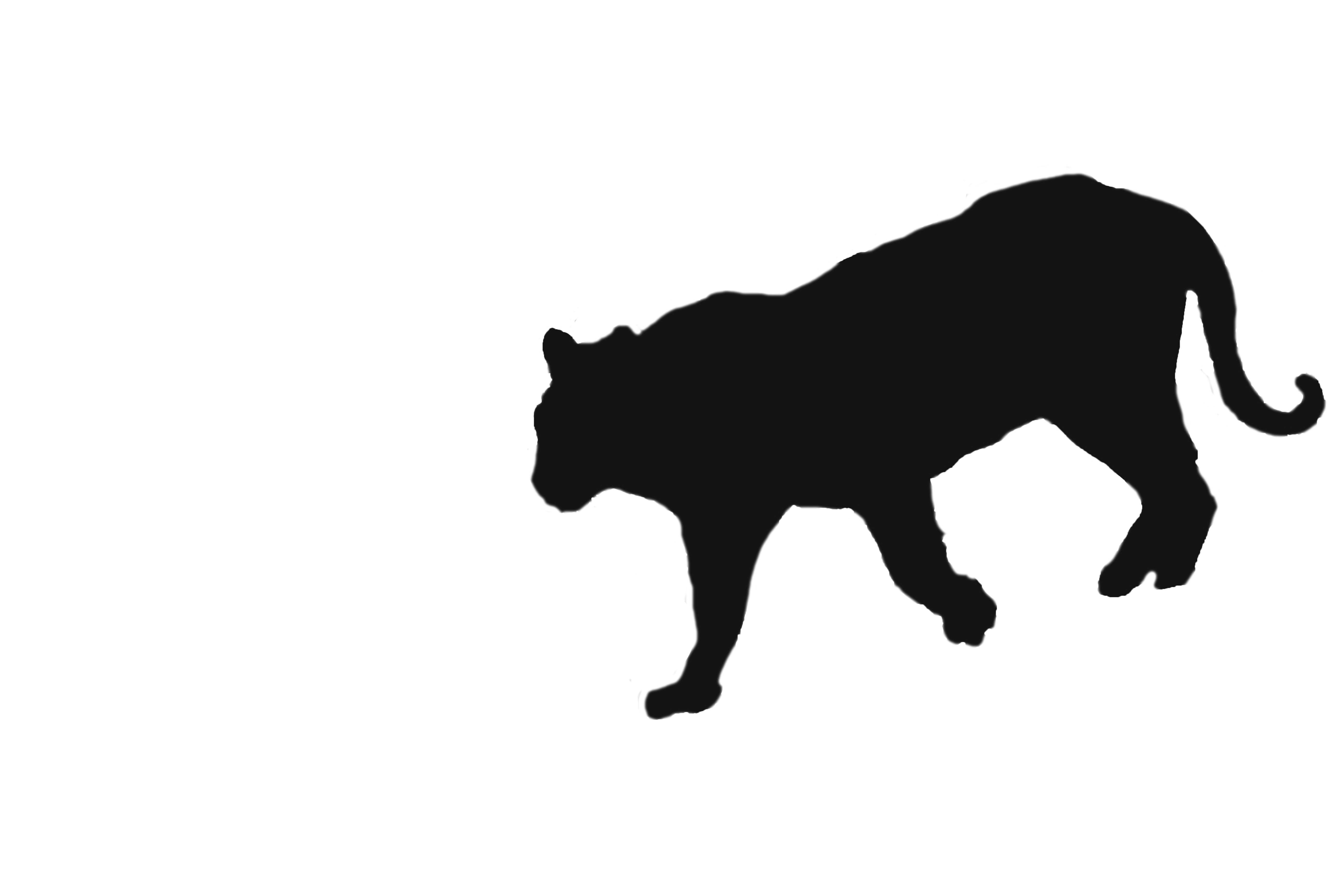 DSC_4169 のコピー.jpg